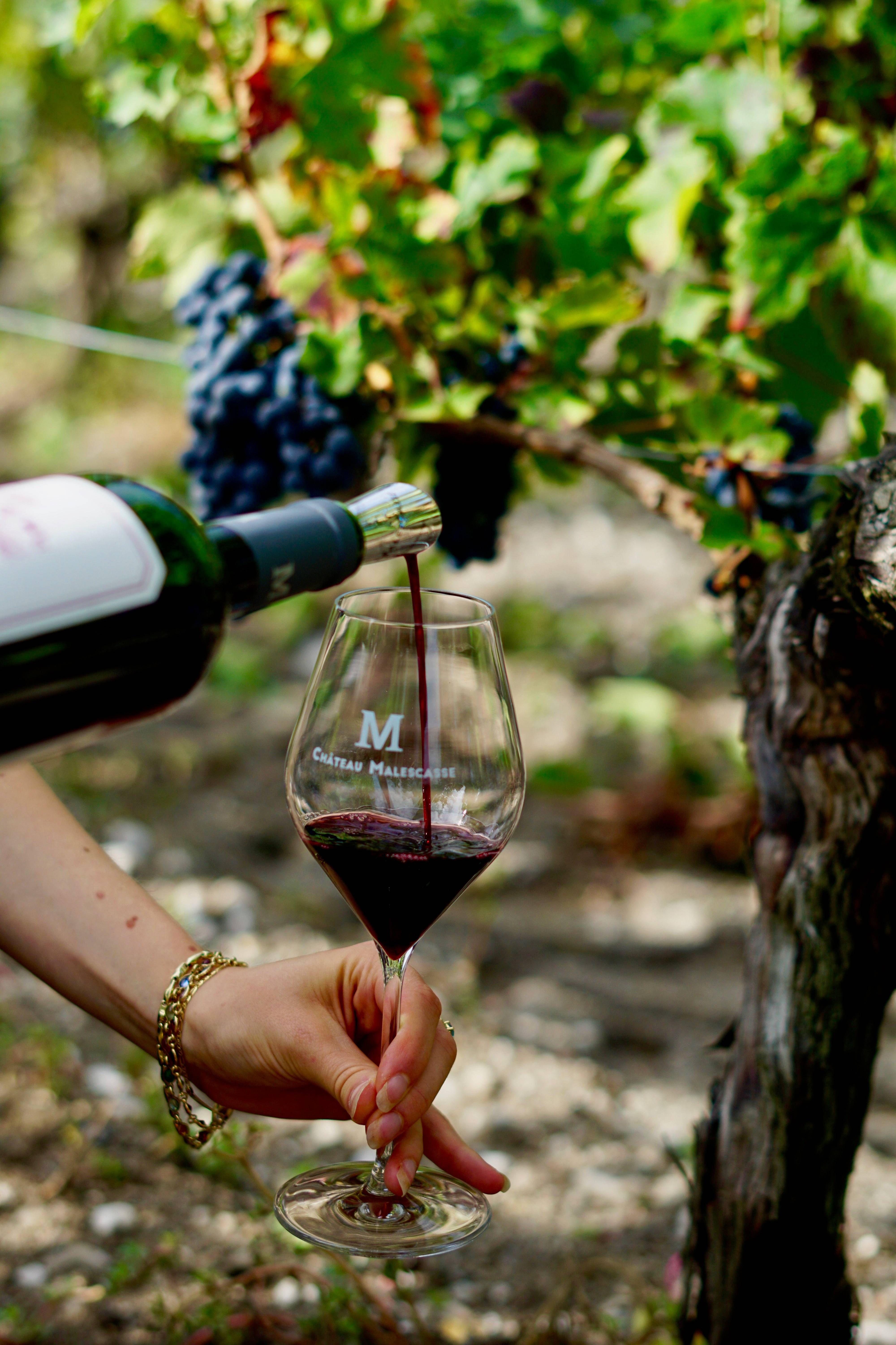 Introduction to Tasting