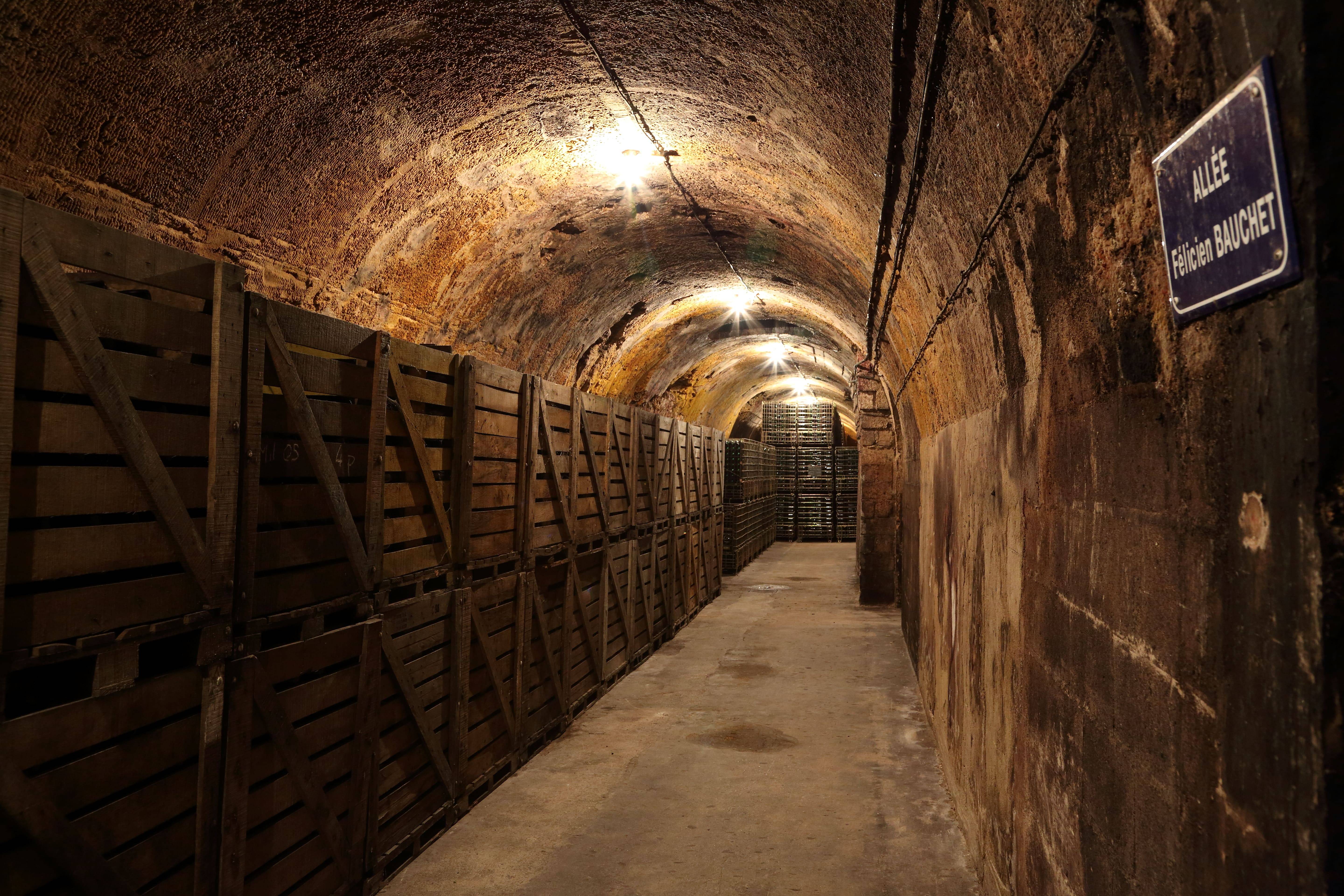 Visit to the cellars and tasting of a vintage
