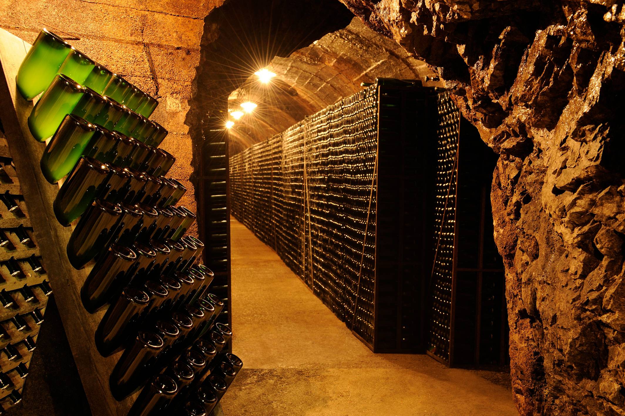 Company tour with tasting