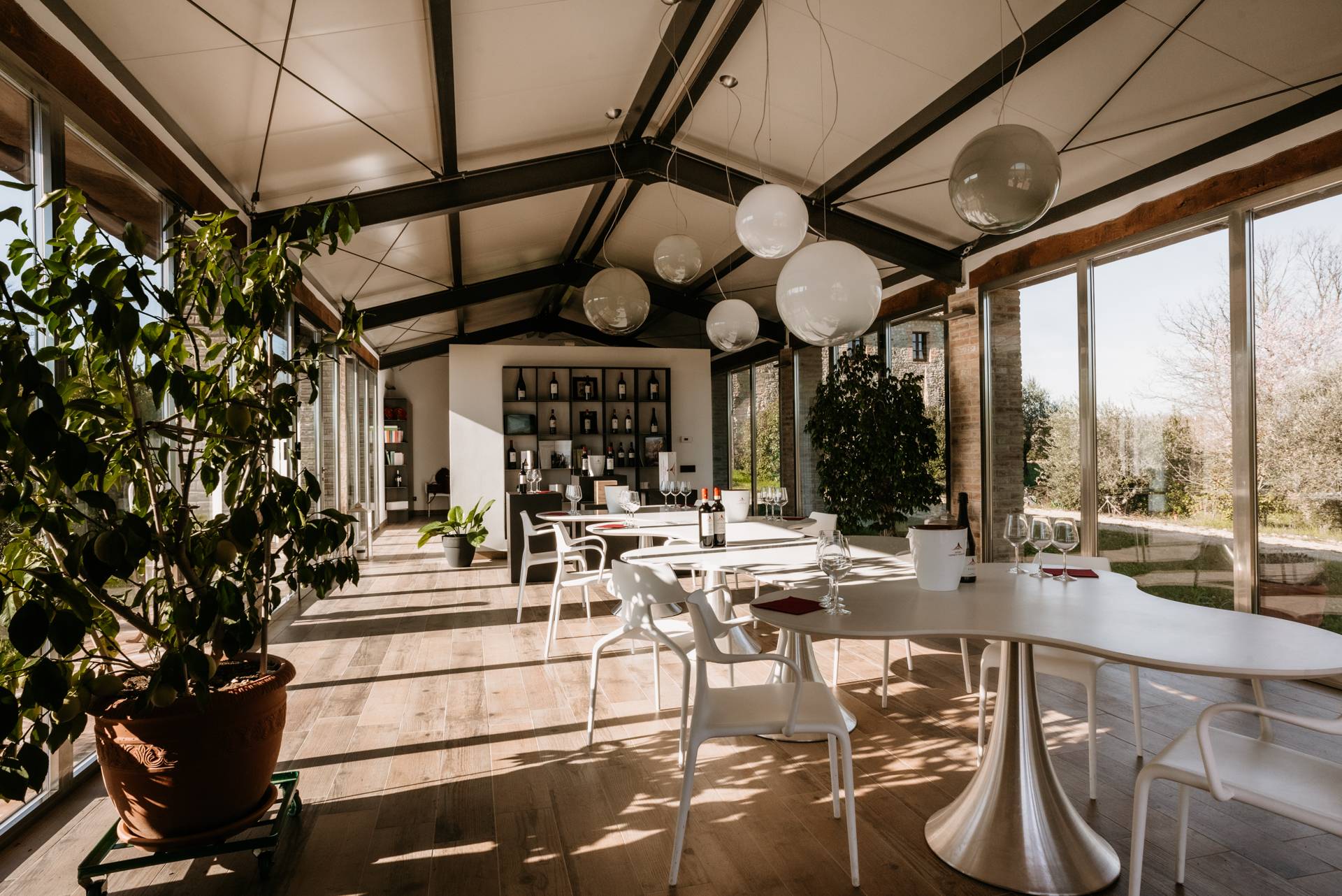 Our Grapes: Not Just Sangiovese