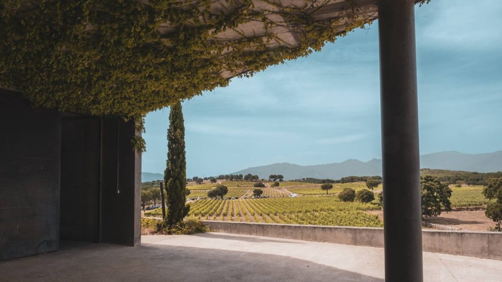 Road through the Clouds