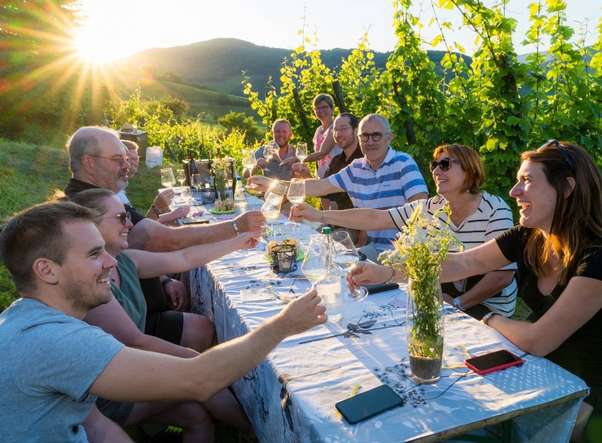 Gourmet stroll in the heart of the Vineyard