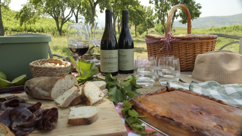 Discovering the wines of Luna Beberide