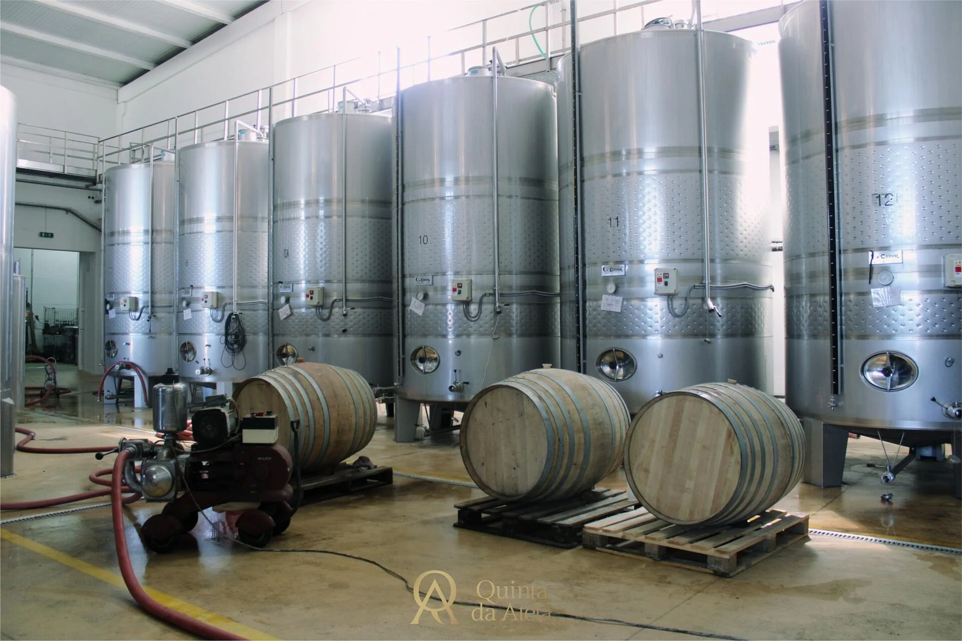 Quinta da Atela – Visita & Prova Origens