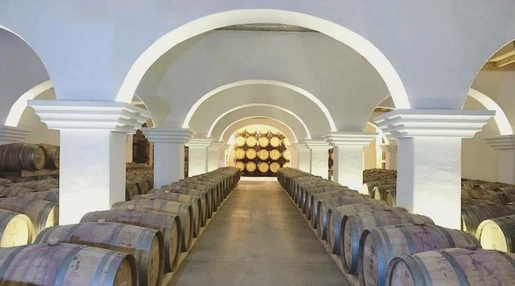 A Elegância dos Vinhos do Baixo Alentejo