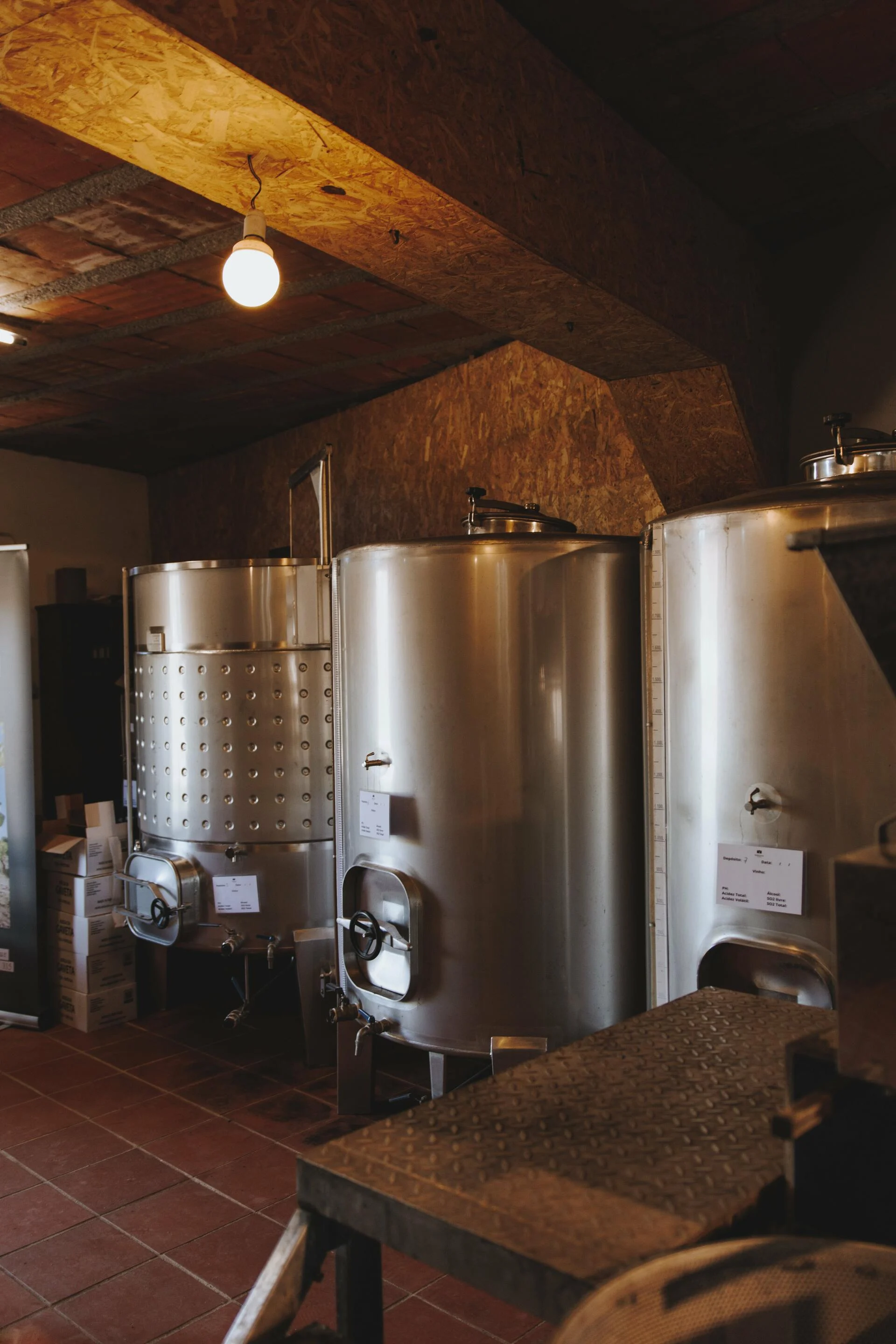 Adega da Gaveta – A Essência do Nosso Terroir