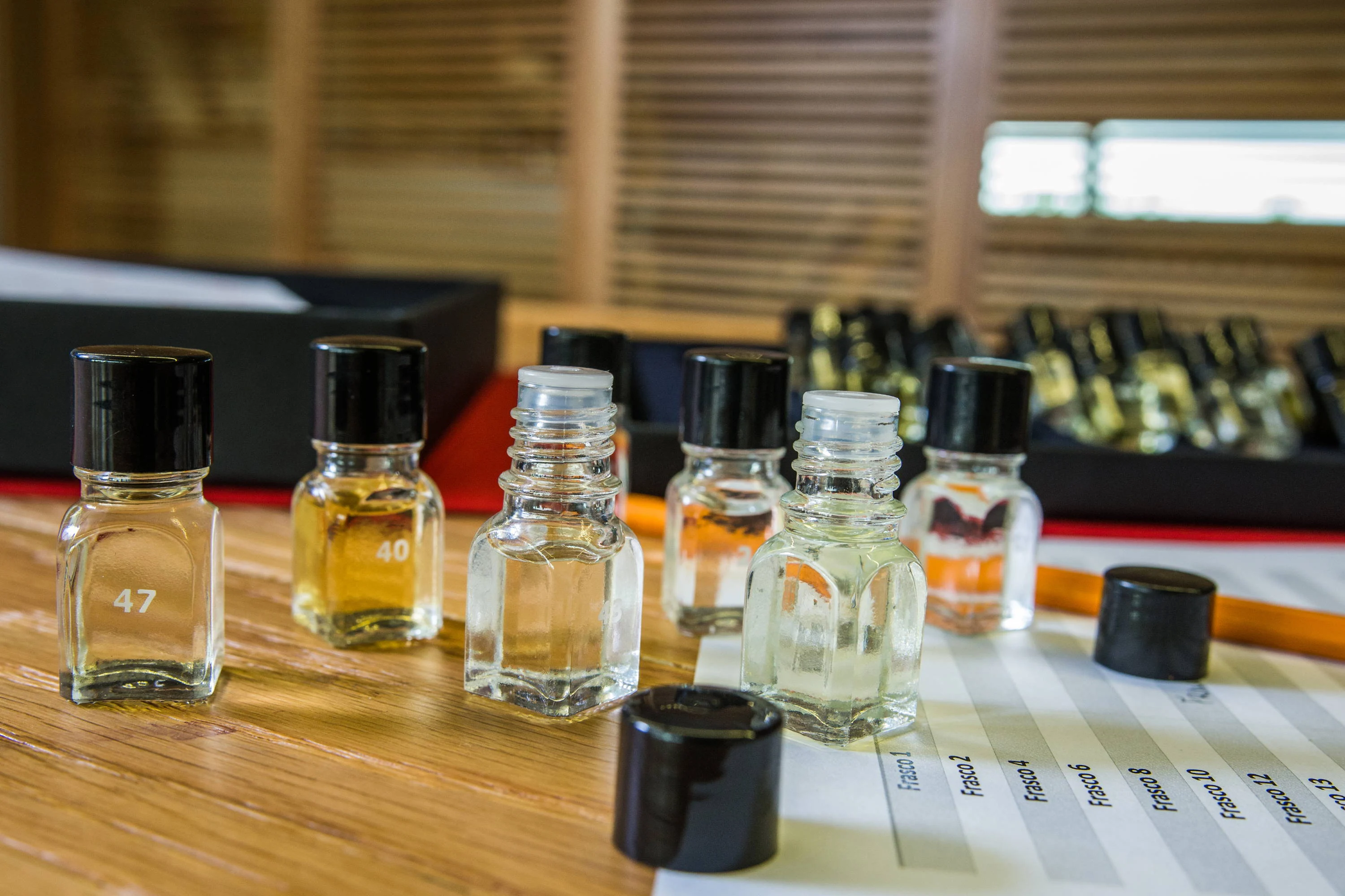 Caminhos Cruzados – Jogo dos Aromas