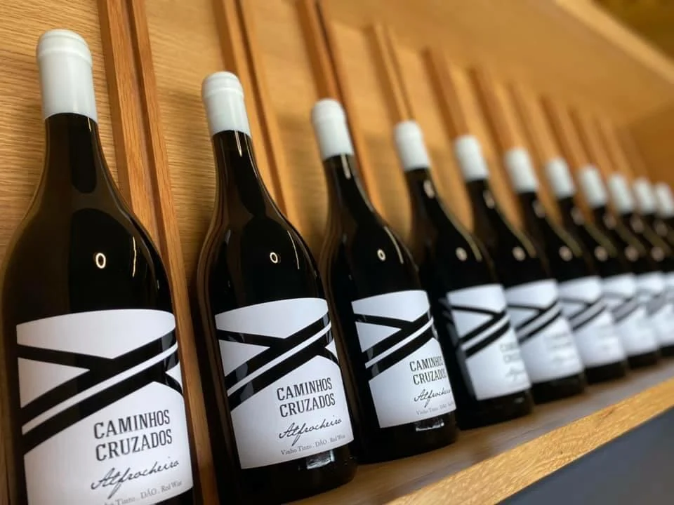 Caminhos Cruzados – Jogo dos Aromas