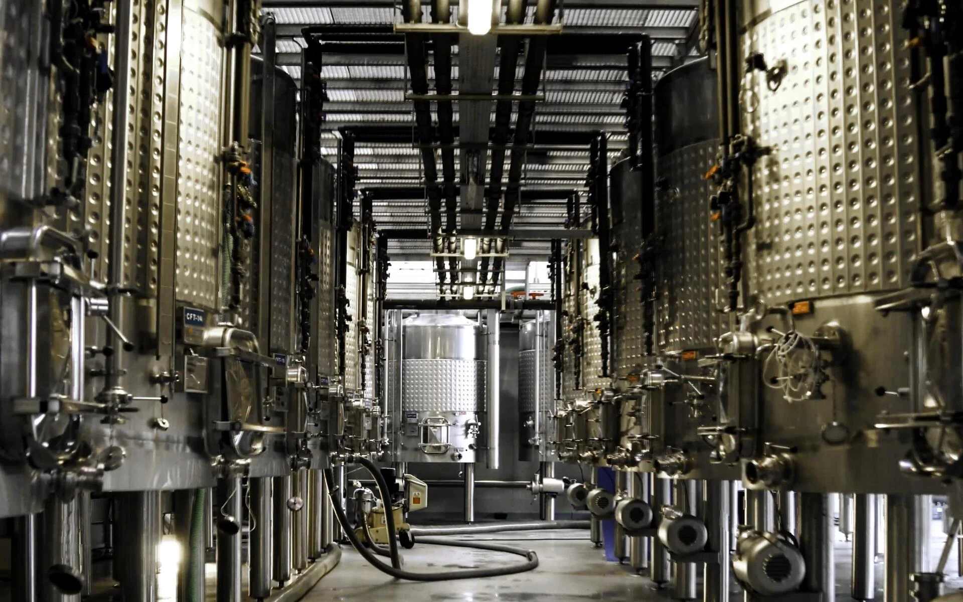 Quinta Vale d’Aldeia – Visita & Prova Clássica