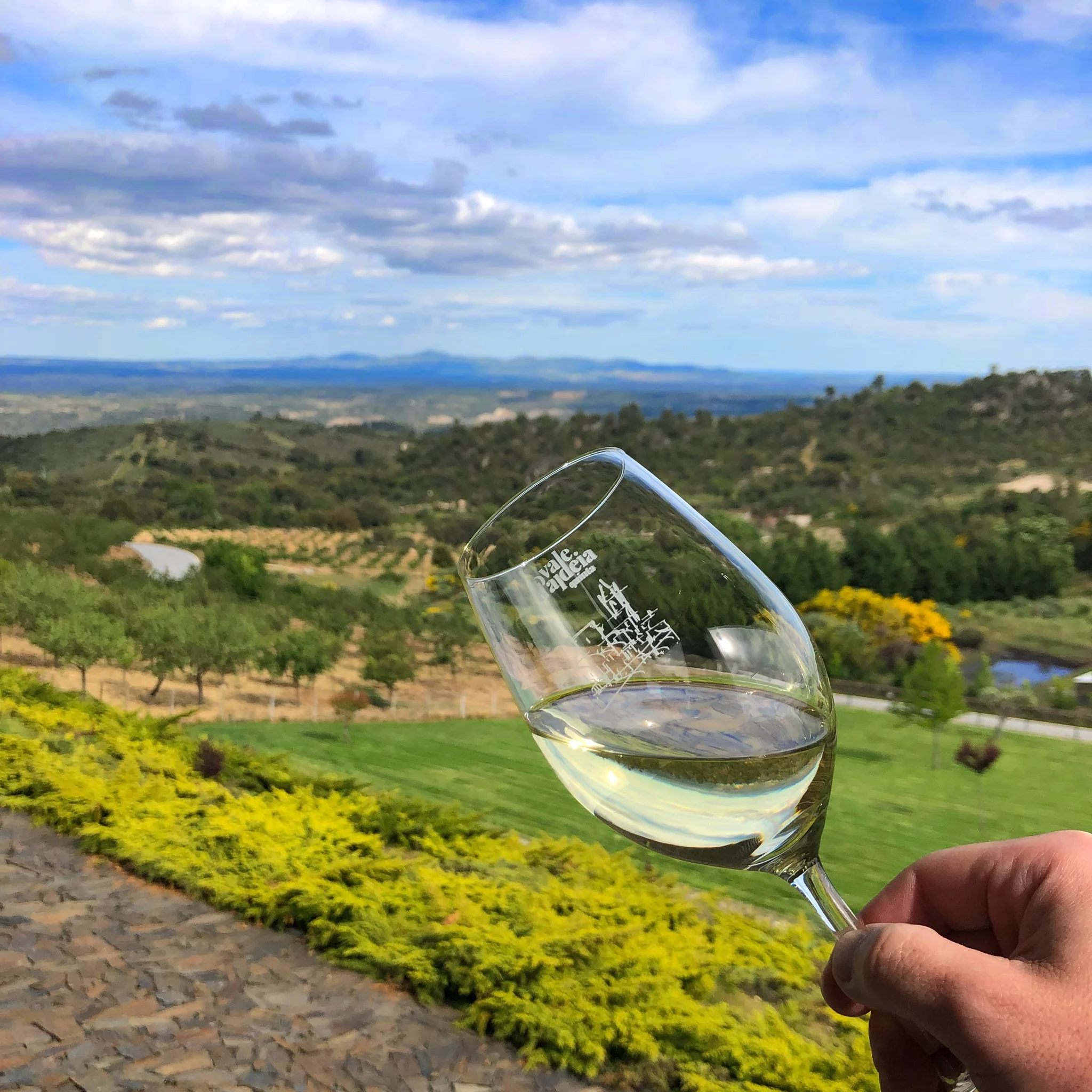 Quinta Vale d’Aldeia – Visita & Prova Clássica