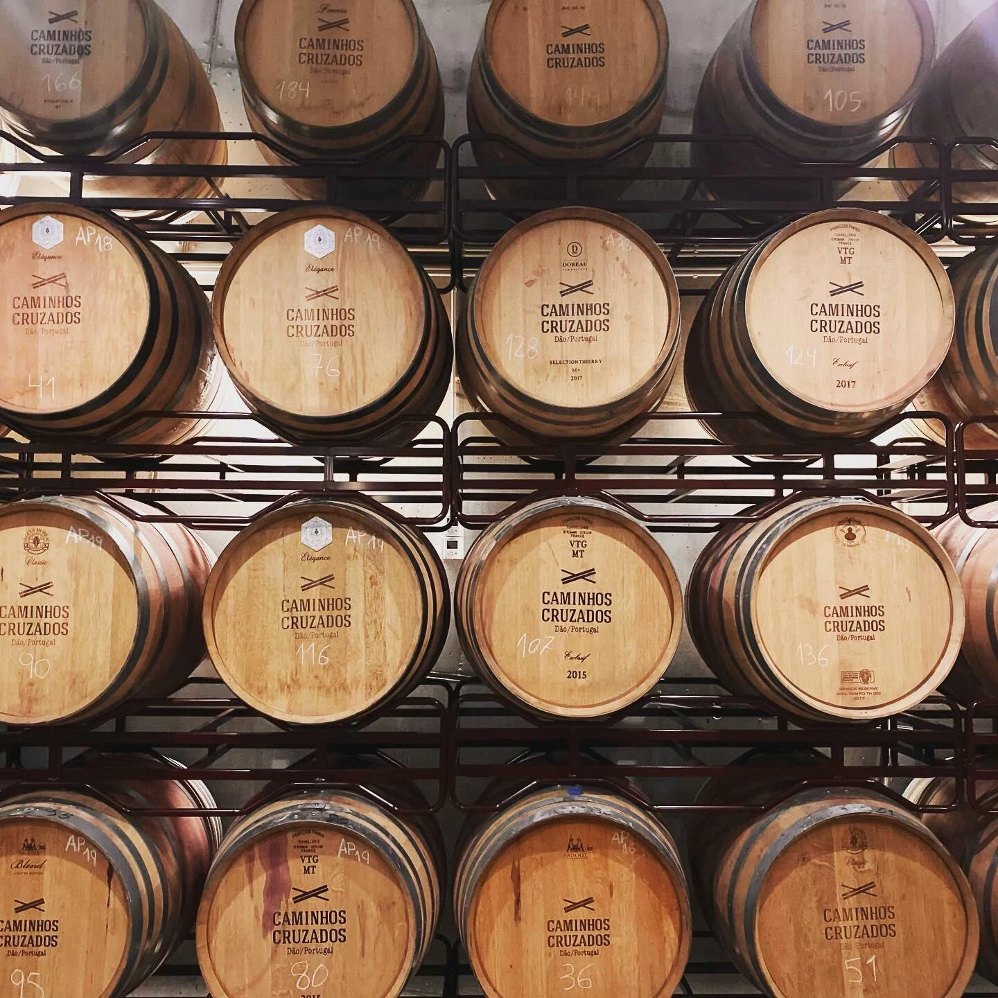 Caminhos Cruzados – Wine & Food