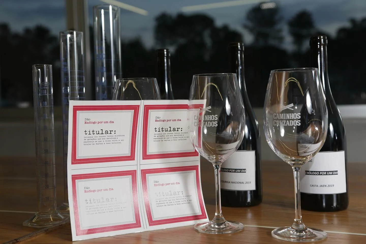 Caminhos Cruzados – Enologia Criativa