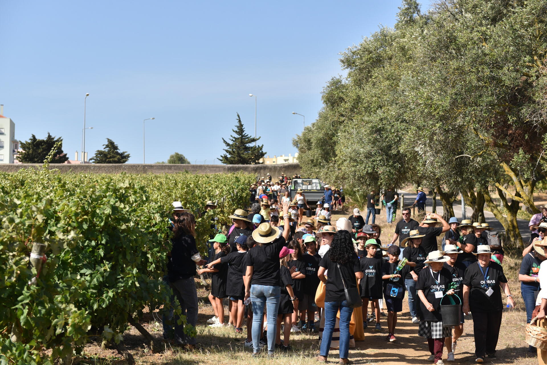 Villa Oeiras – Visita & Prova Cascata dos Poetas