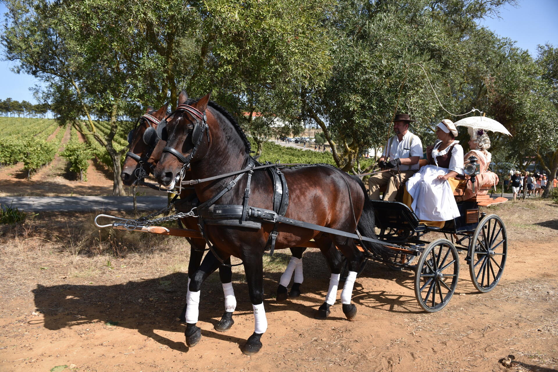 Villa Oeiras – Visita & Prova Cascata dos Poetas