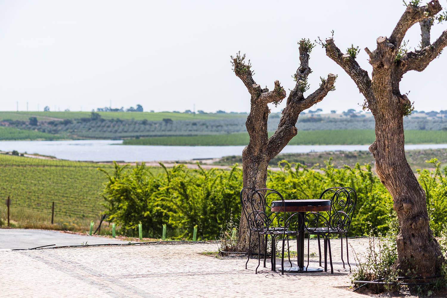 Casa de Santa Vitória – Prova Seleção