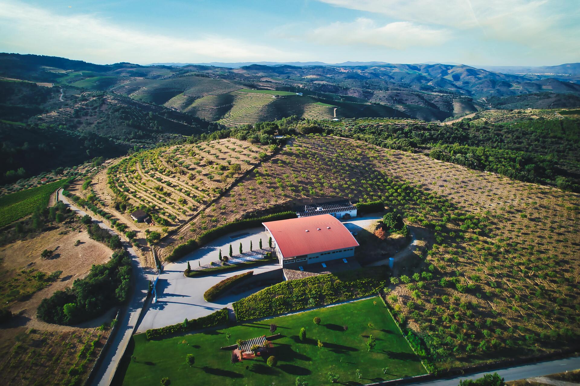 Quinta Vale d’Aldeia – Visita & Prova Premium