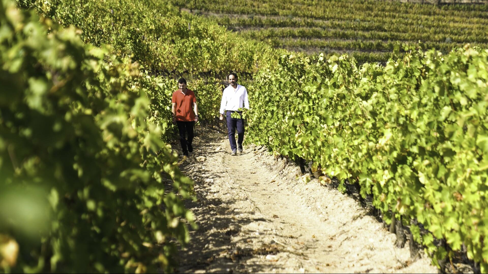 Quinta Vale d’Aldeia – Visita & Prova Premium