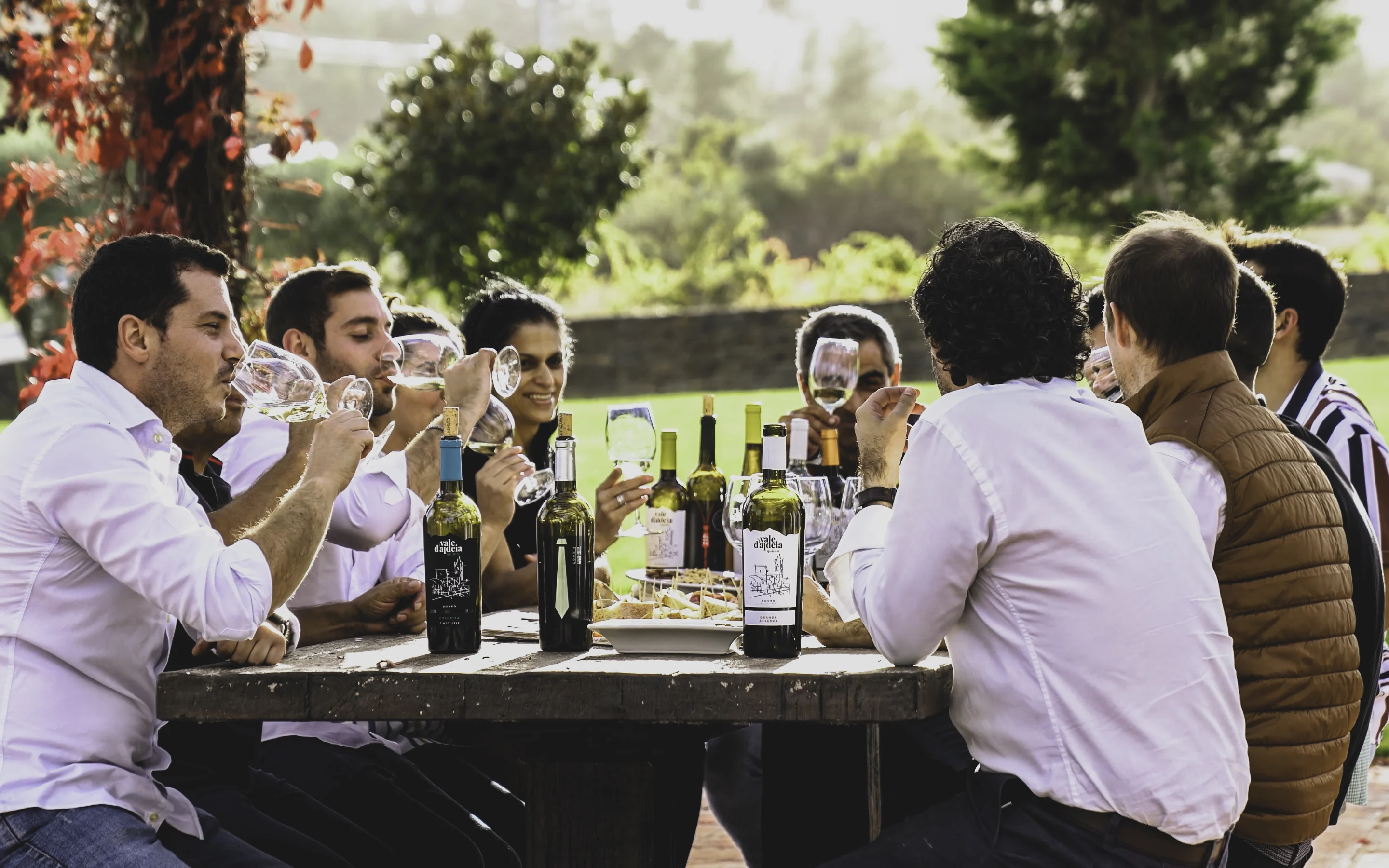 Quinta Vale d’Aldeia – Visita & Prova Premium