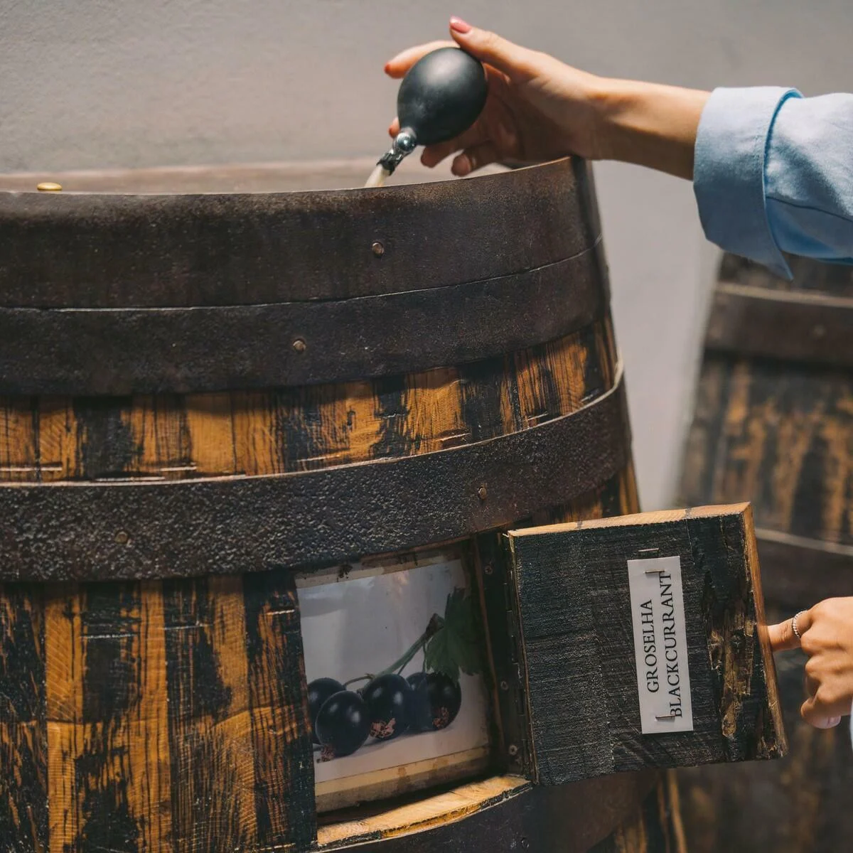 Caves Taylor’s- Tawny Experience