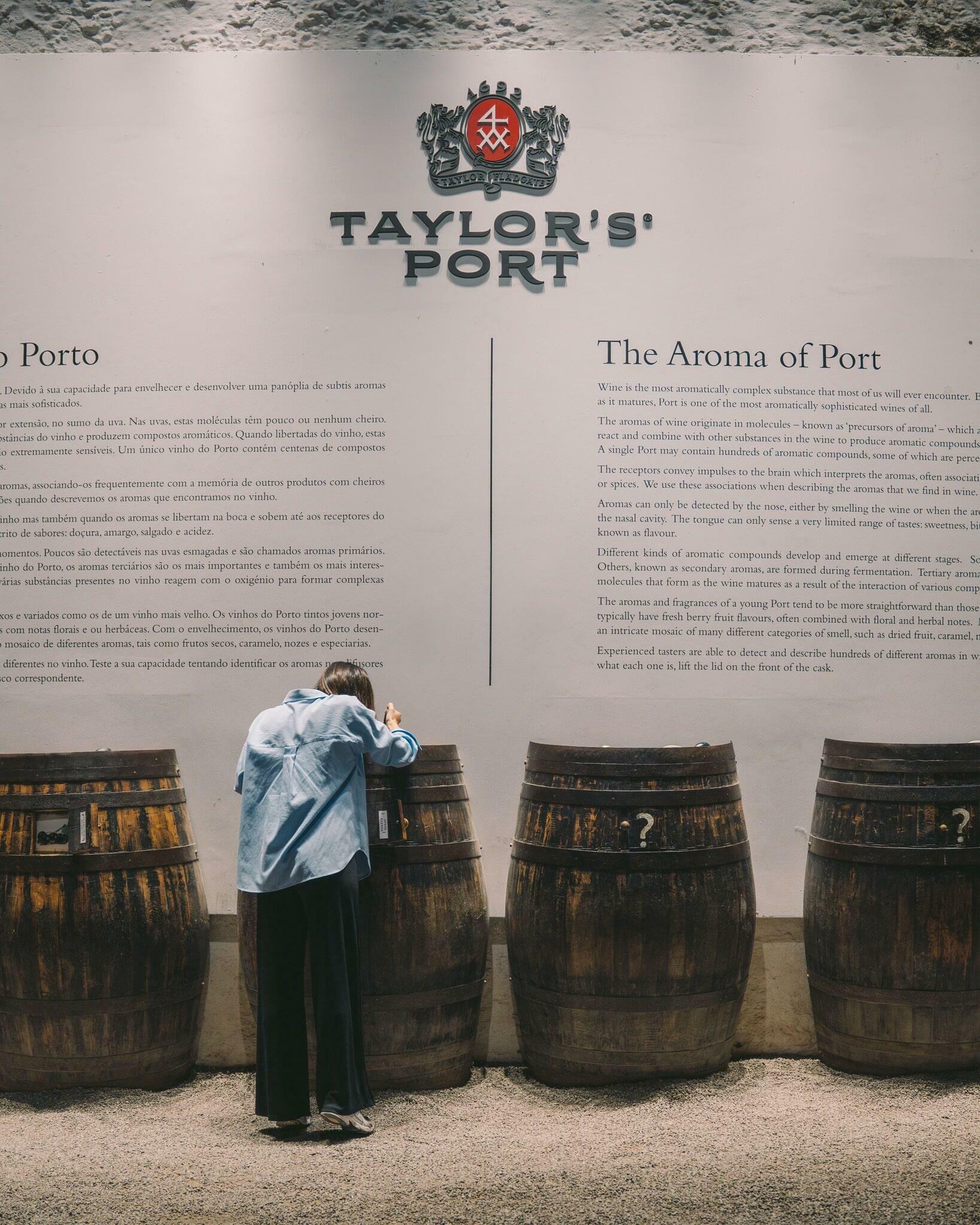 Caves Taylor’s- Tawny Experience