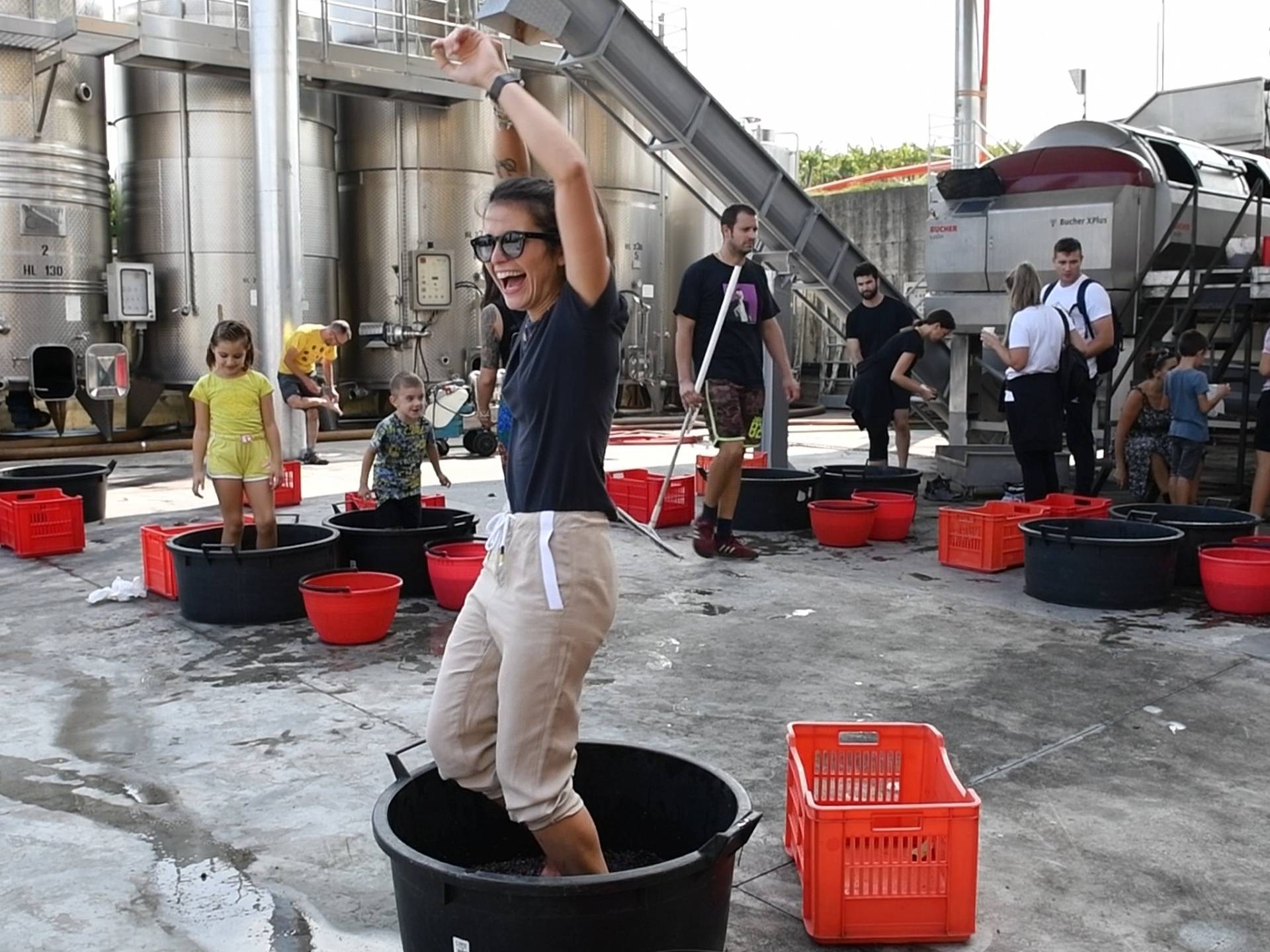 Experience the harvest