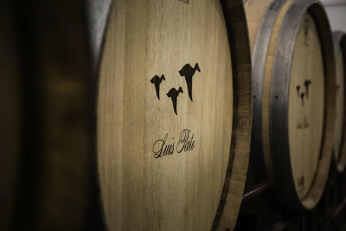 Luís Pato – Visita & Almoço Especial na Adega