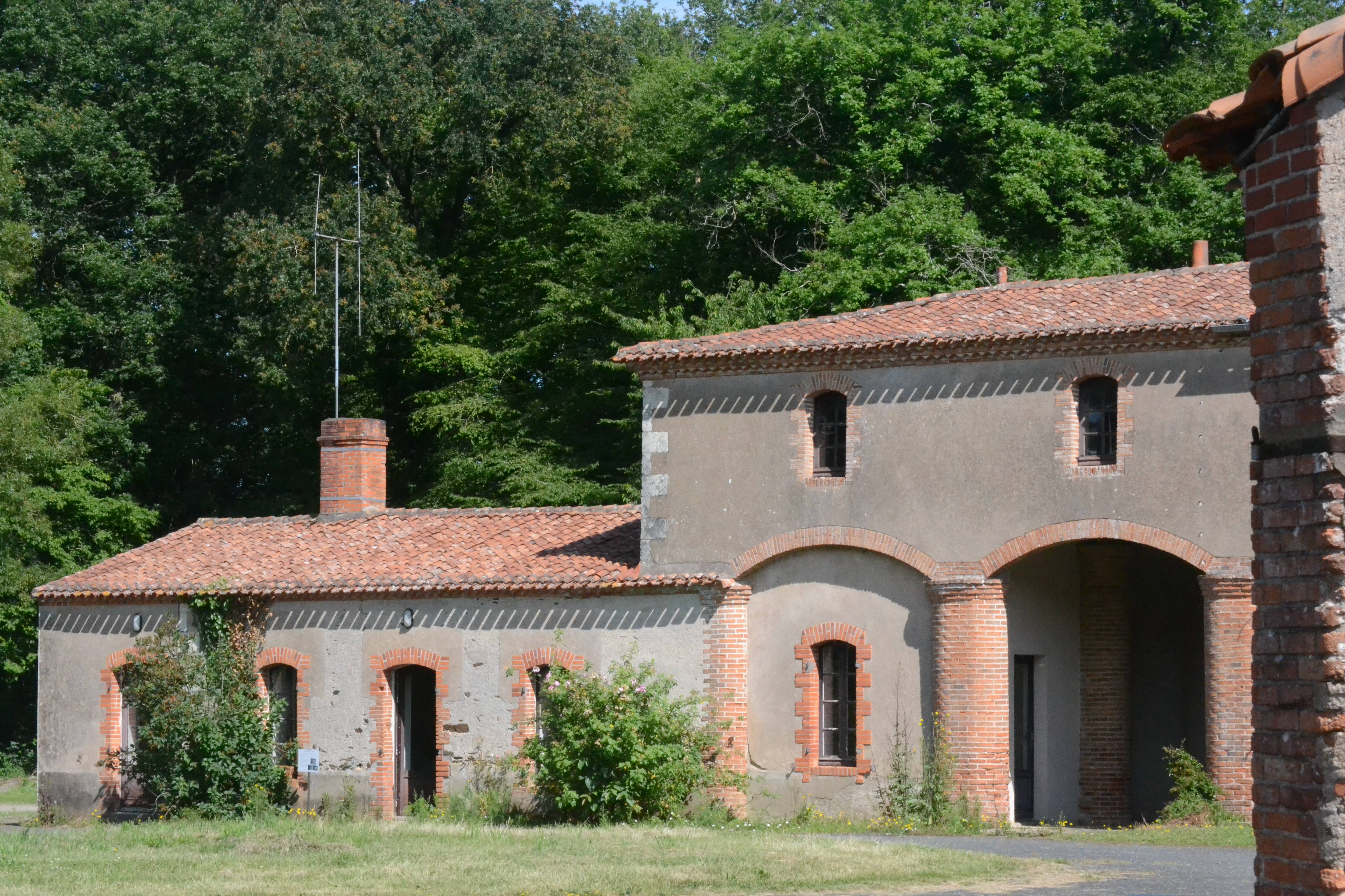 Treasure hunt in the vineyards