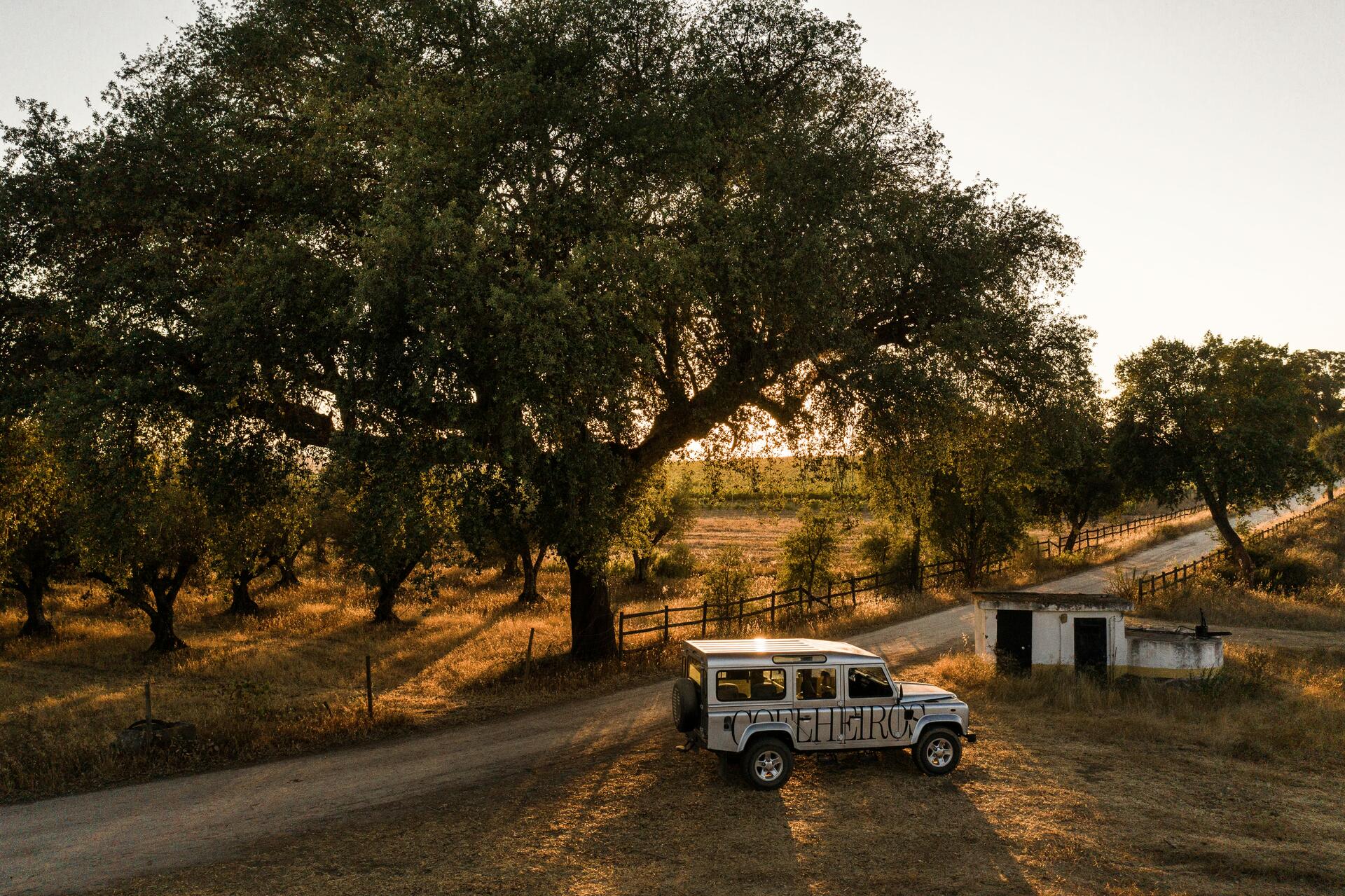 Tapada de Coelheiros – Vindimas