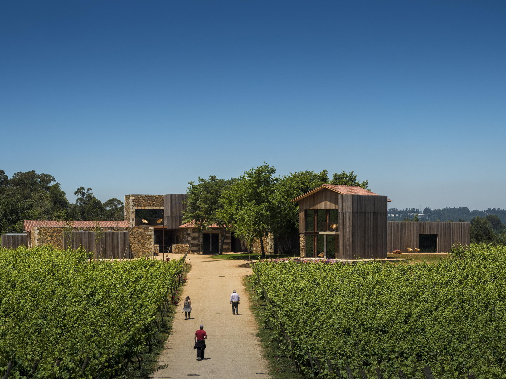 Monverde – Signature Tasting