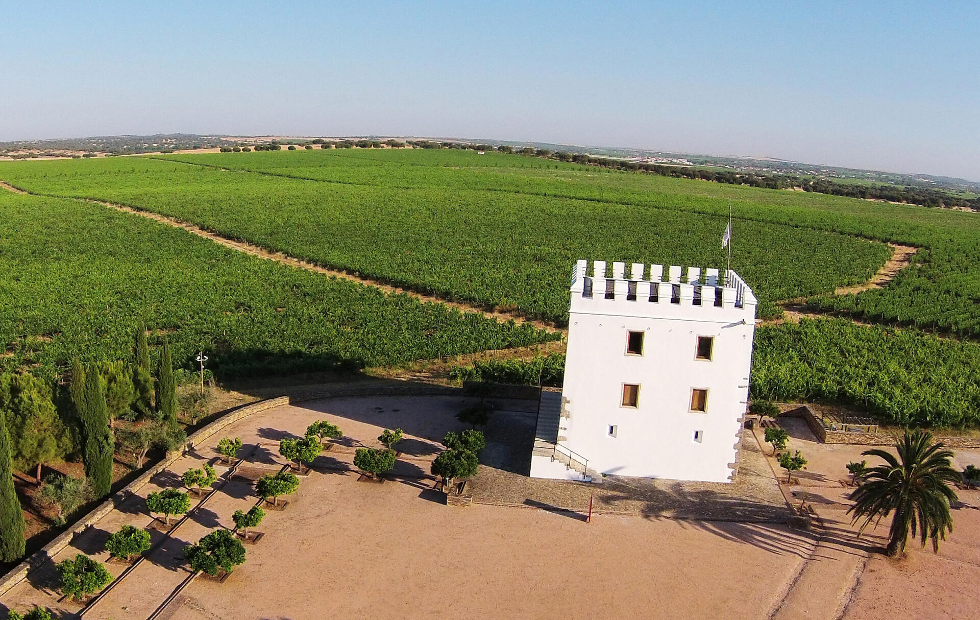 Herdade do Esporão – Visita, Prova & Almoço