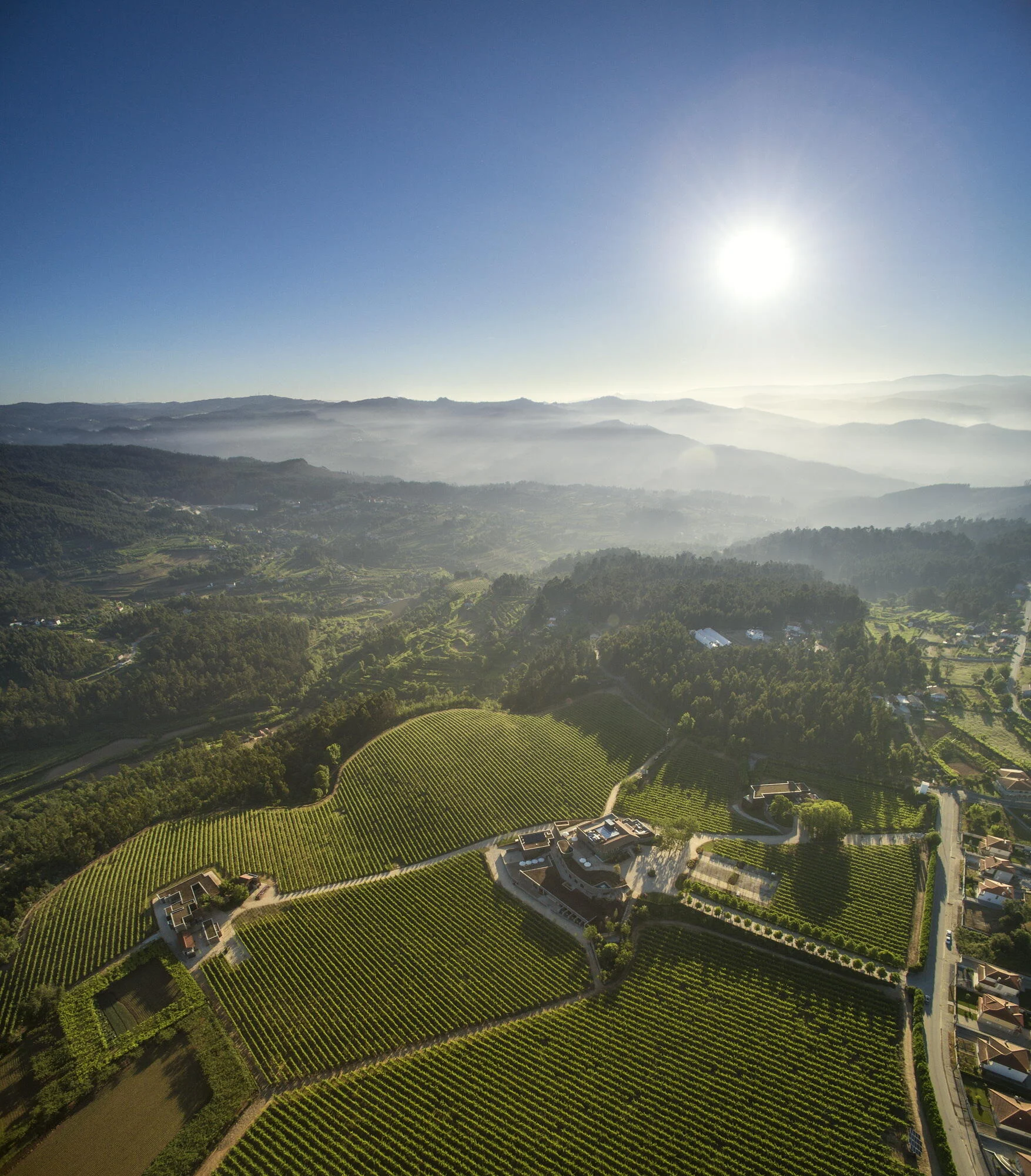 Monverde – Blending Experience