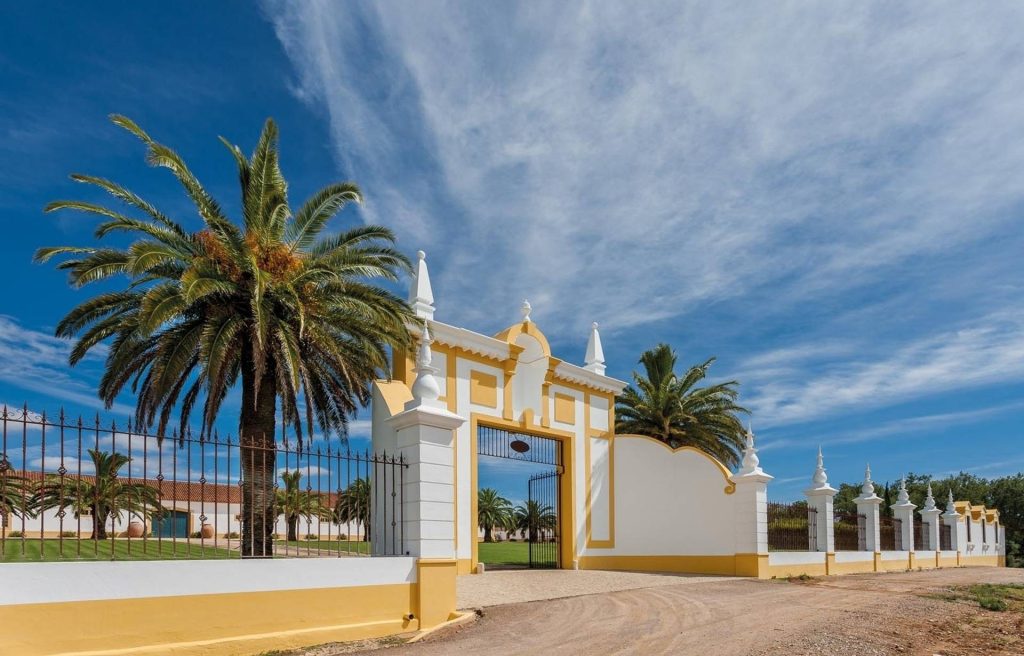 Guided Tour Quinta do Carmo + SuperPremium Tasting