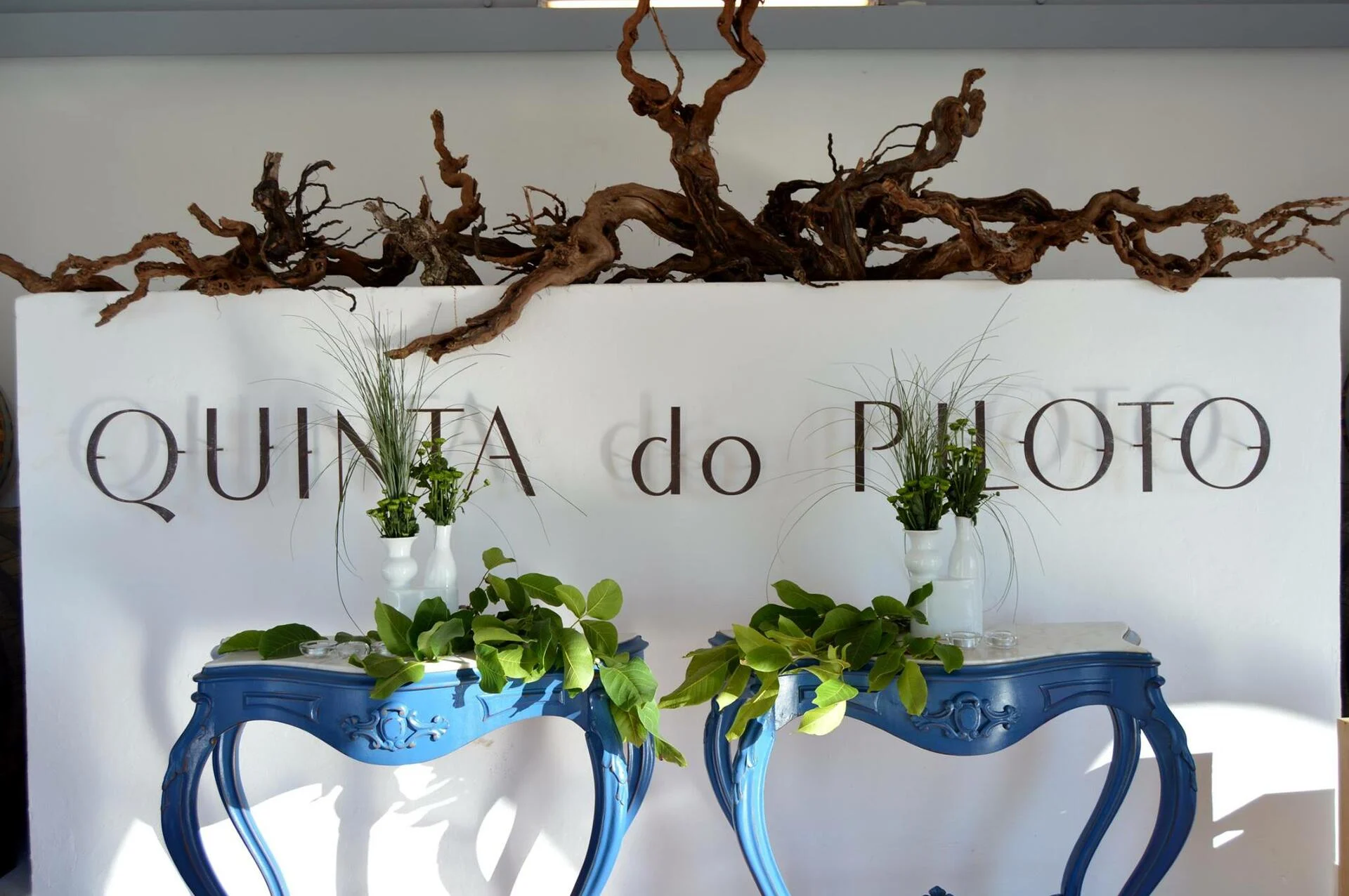 Quinta do Piloto – Programa Piloto