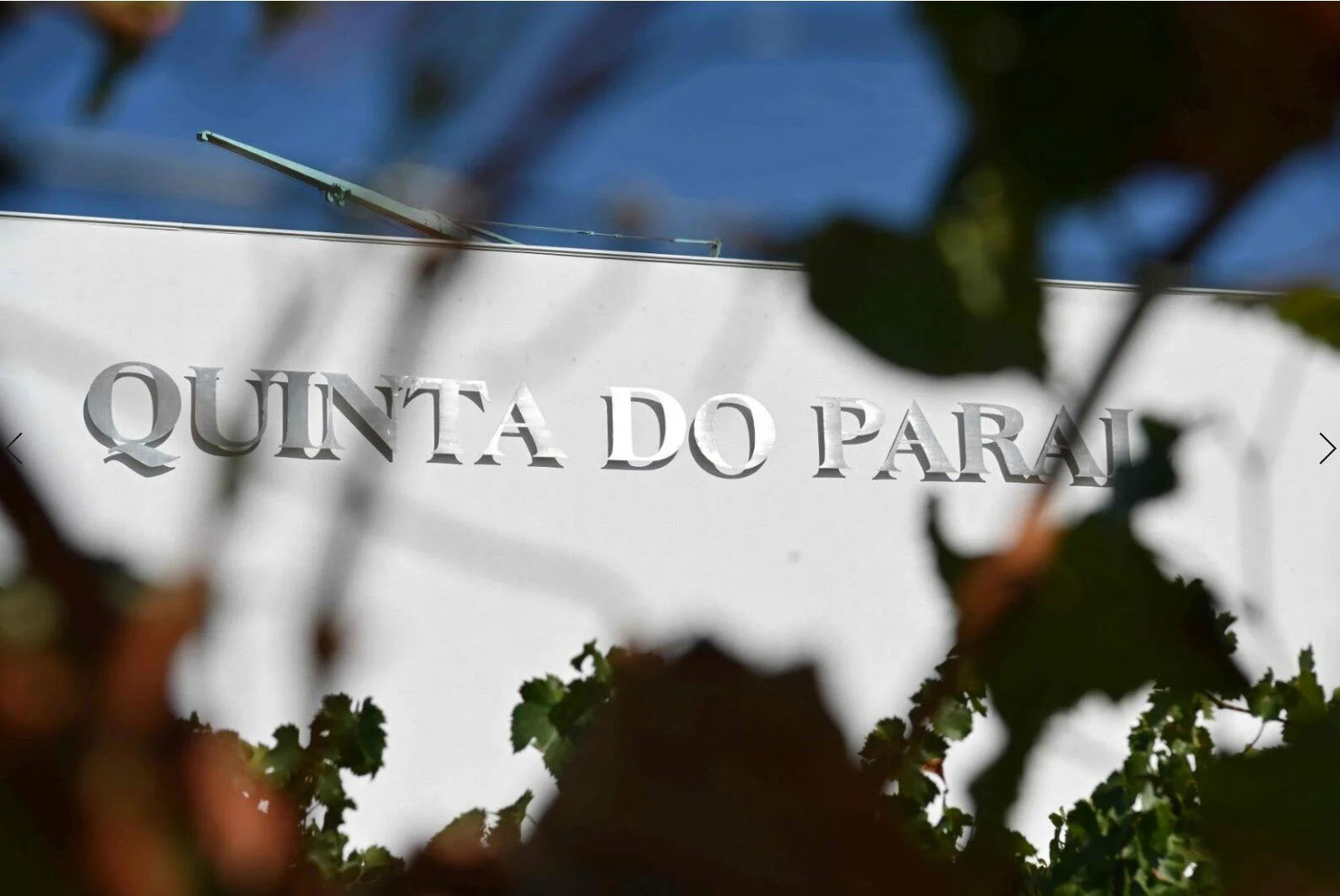 Quinta do Paral – Visita & Prova Origem