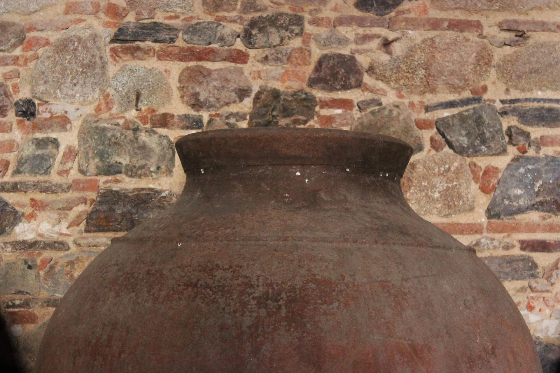 Honrado Vineyards – Aprender a Provar Vinhos