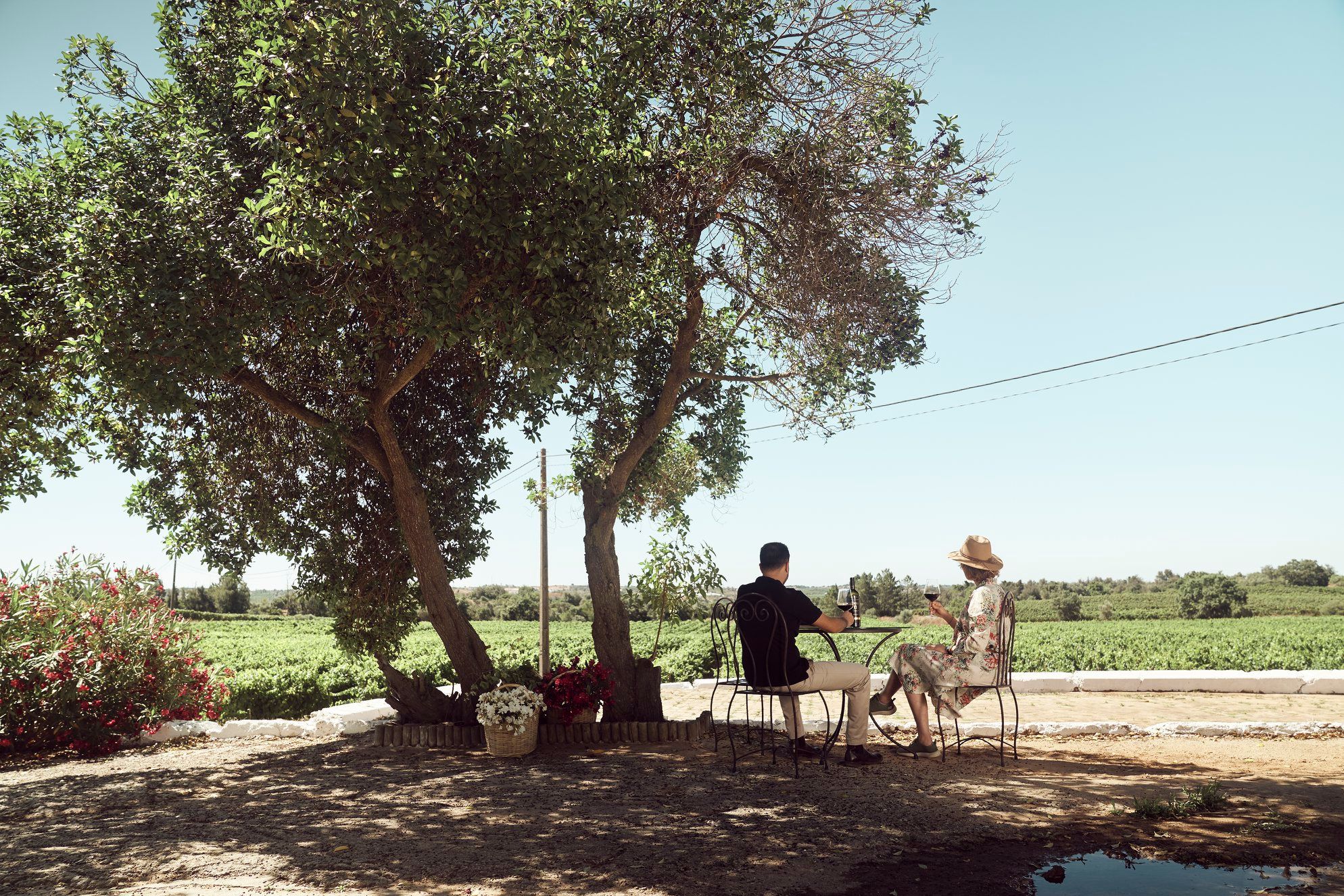 Paxá Wines – Visita & Prova Premium