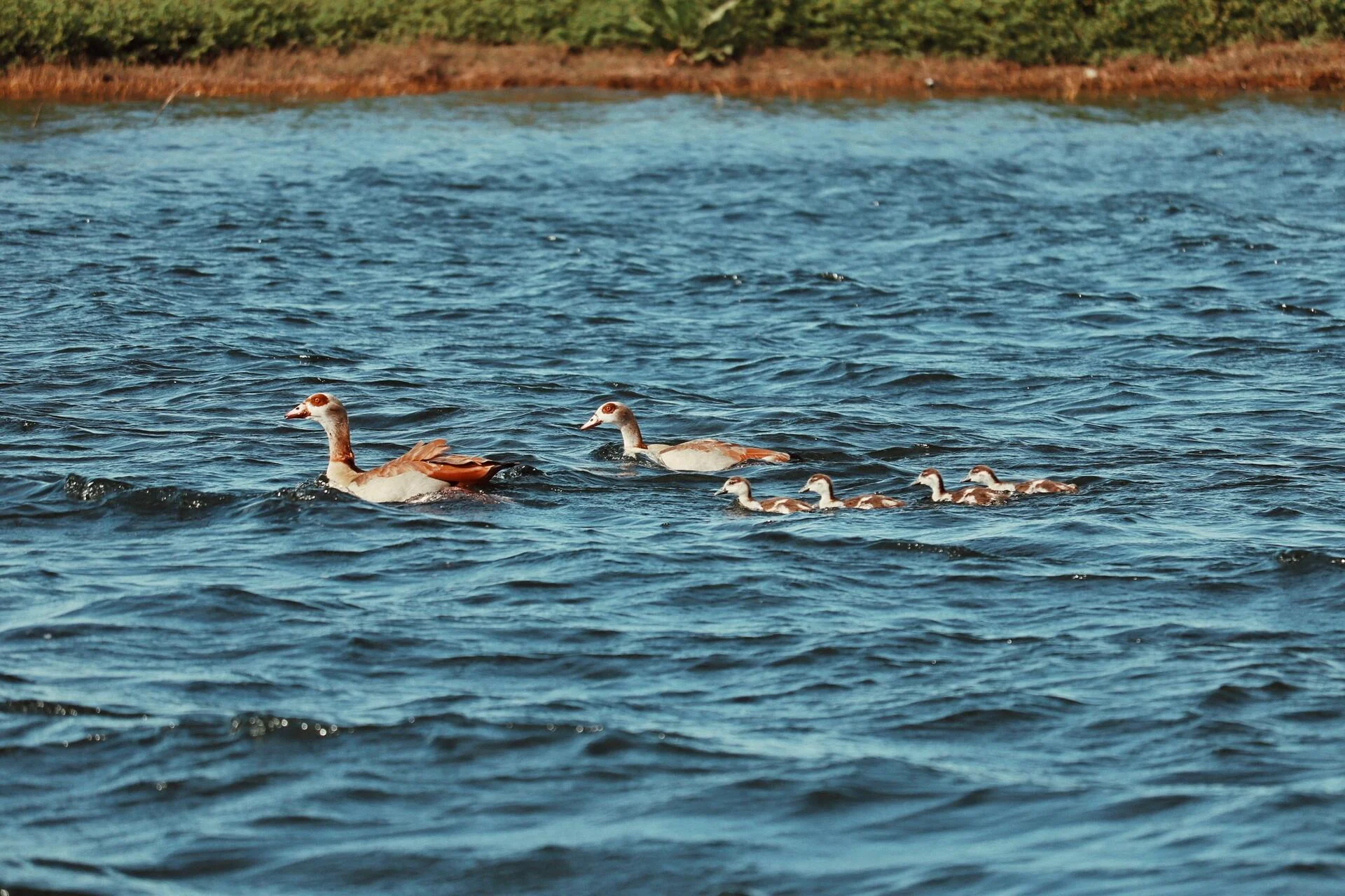 Alqueva com Sabores – Privado