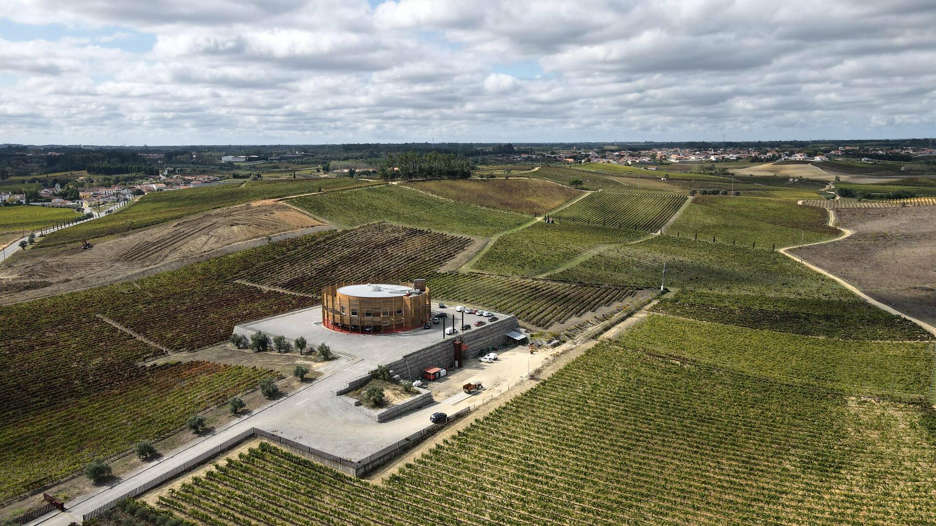 Quinta do Encontro – Visita & Almoço Premium