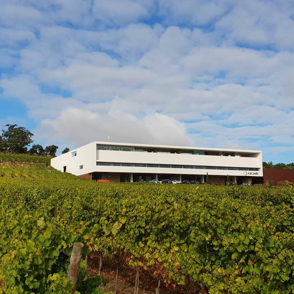 The Lisbon Wine Route