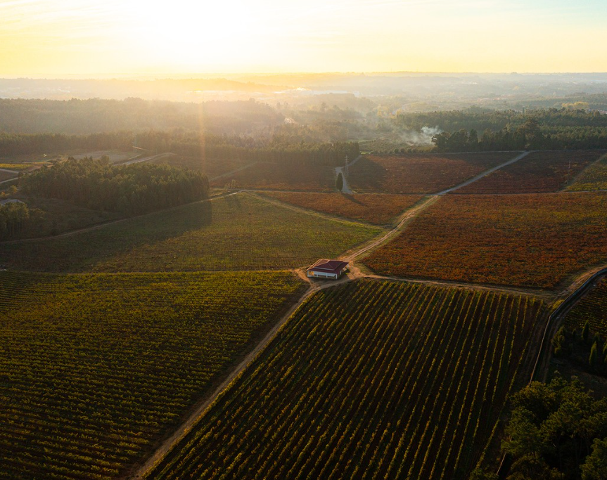 MESSIAS – Messias Bairrada