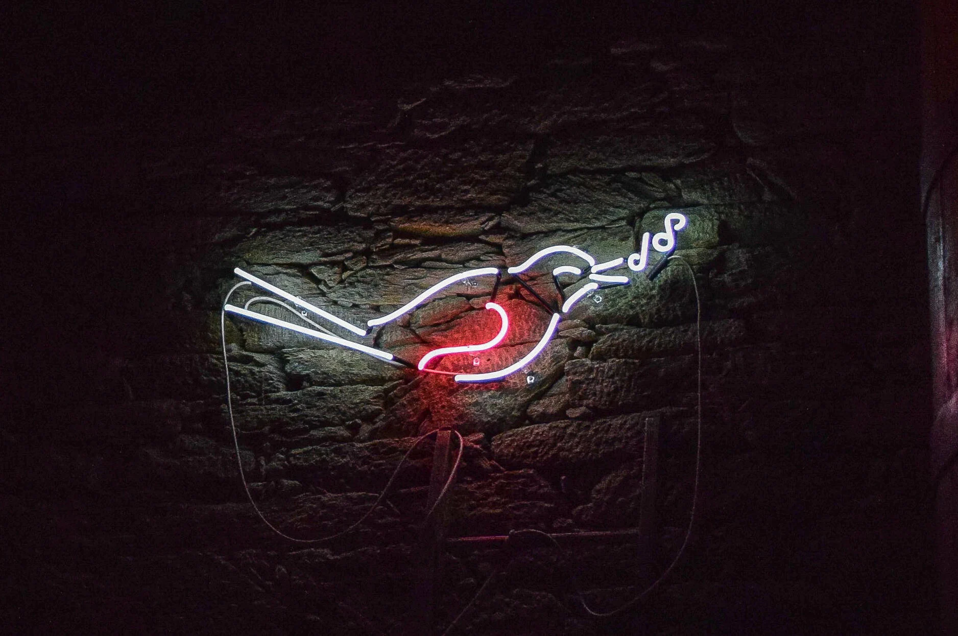 Quinta do Tedo – Visita & Prova de Vinhos