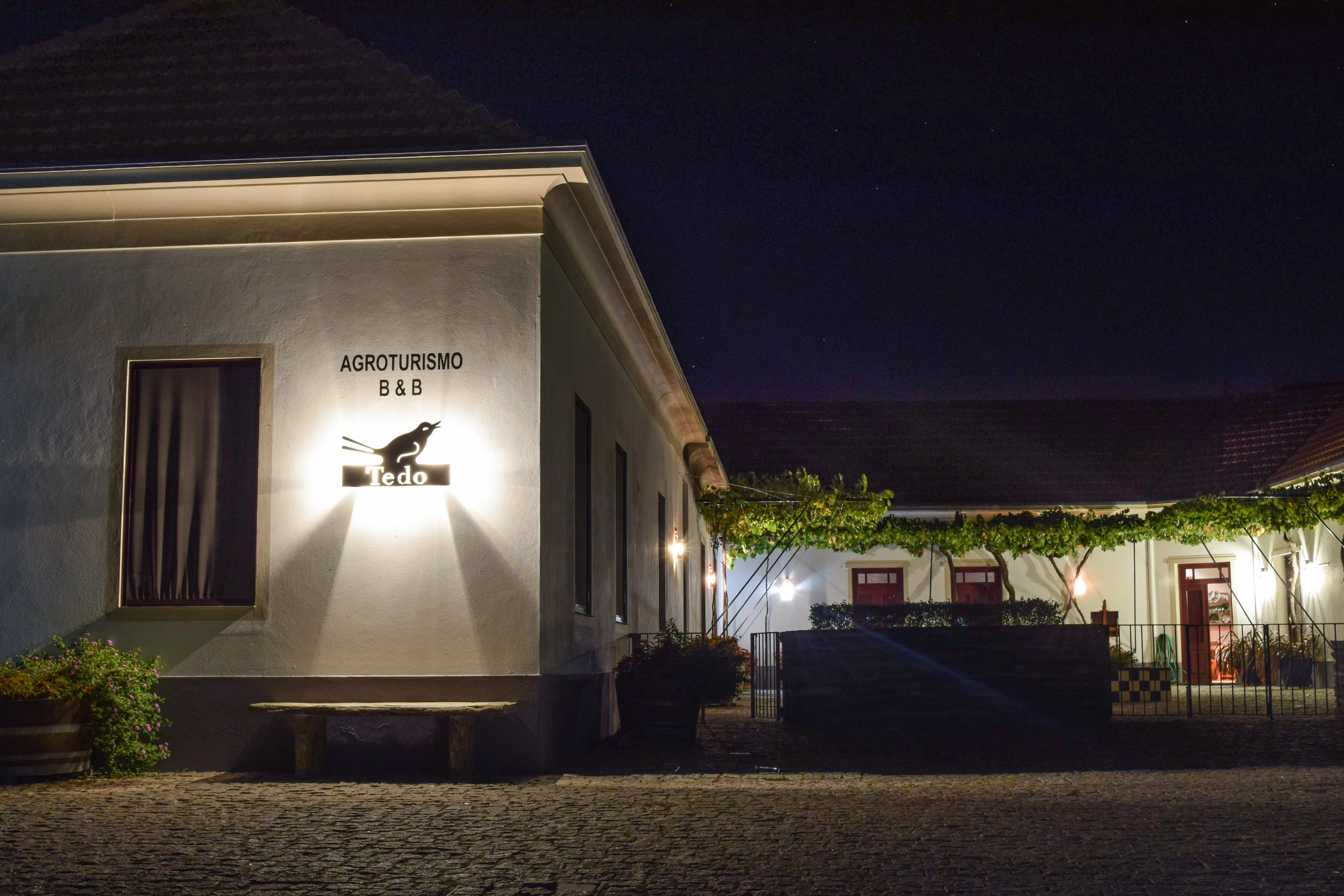 Quinta do Tedo – Visita & Prova Tawny