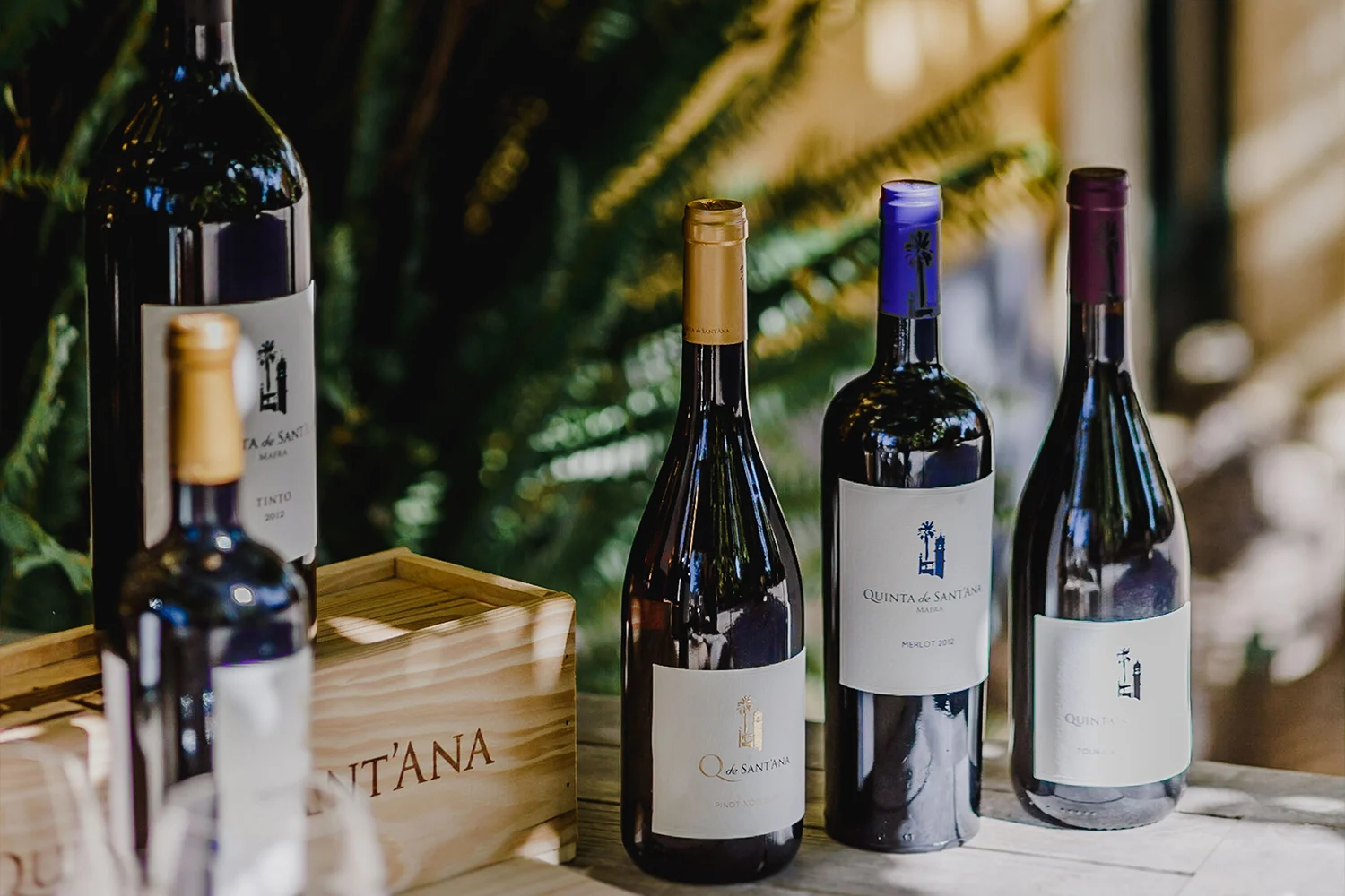 Quinta de Sant’Ana – Wine Expert