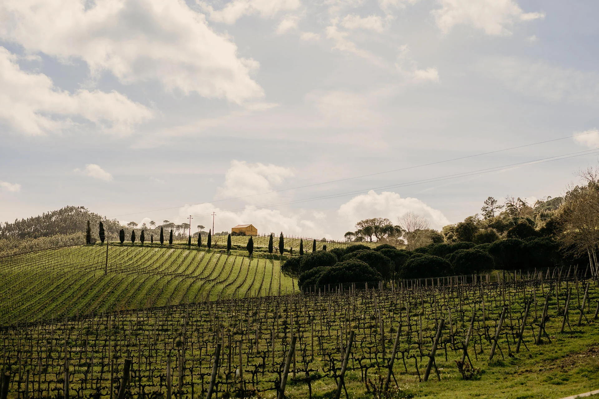 Quinta de Sant’Ana – Wine Adventurer