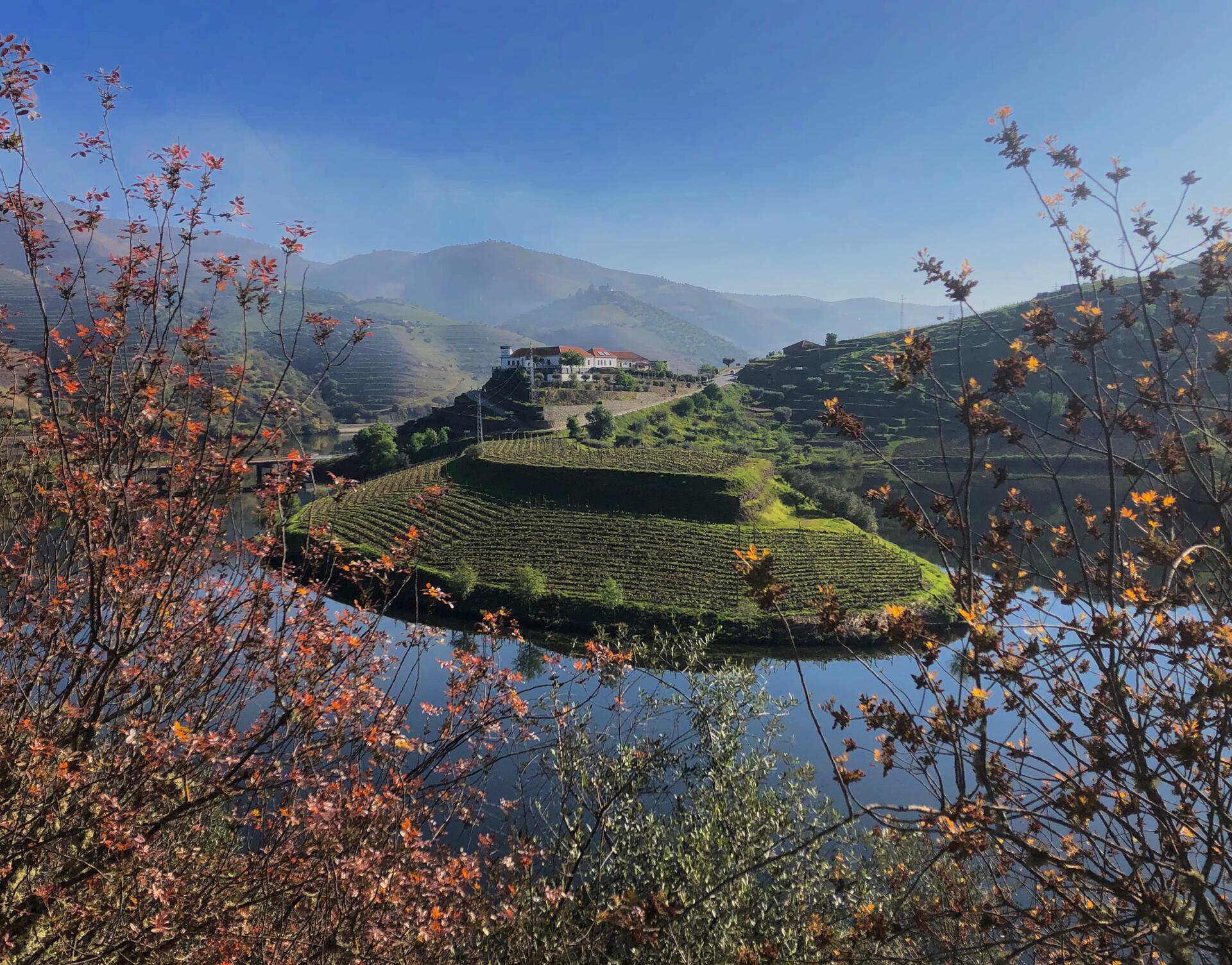Quinta do Tedo – Visita & Prova Especial