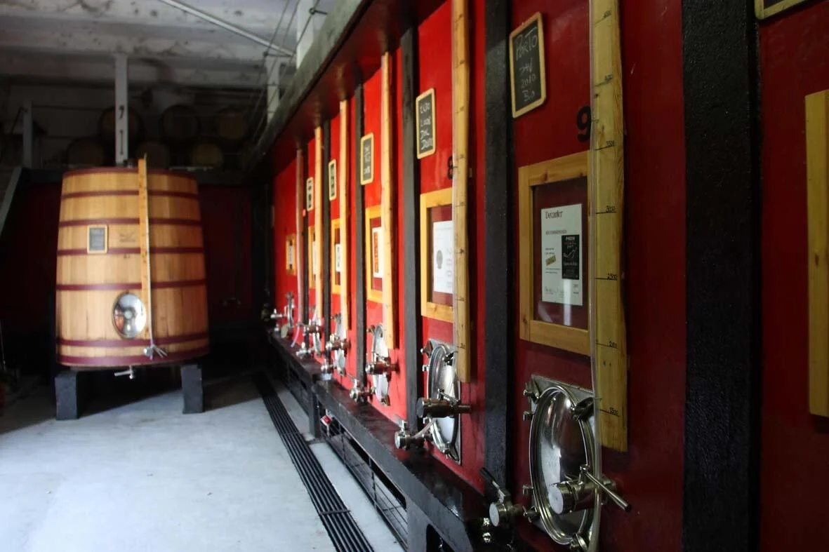 Quinta do Tedo – Visita & Prova de Barrica