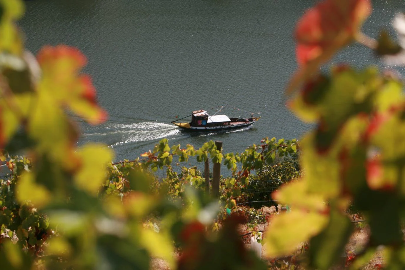 Tour Privado Vale do Douro