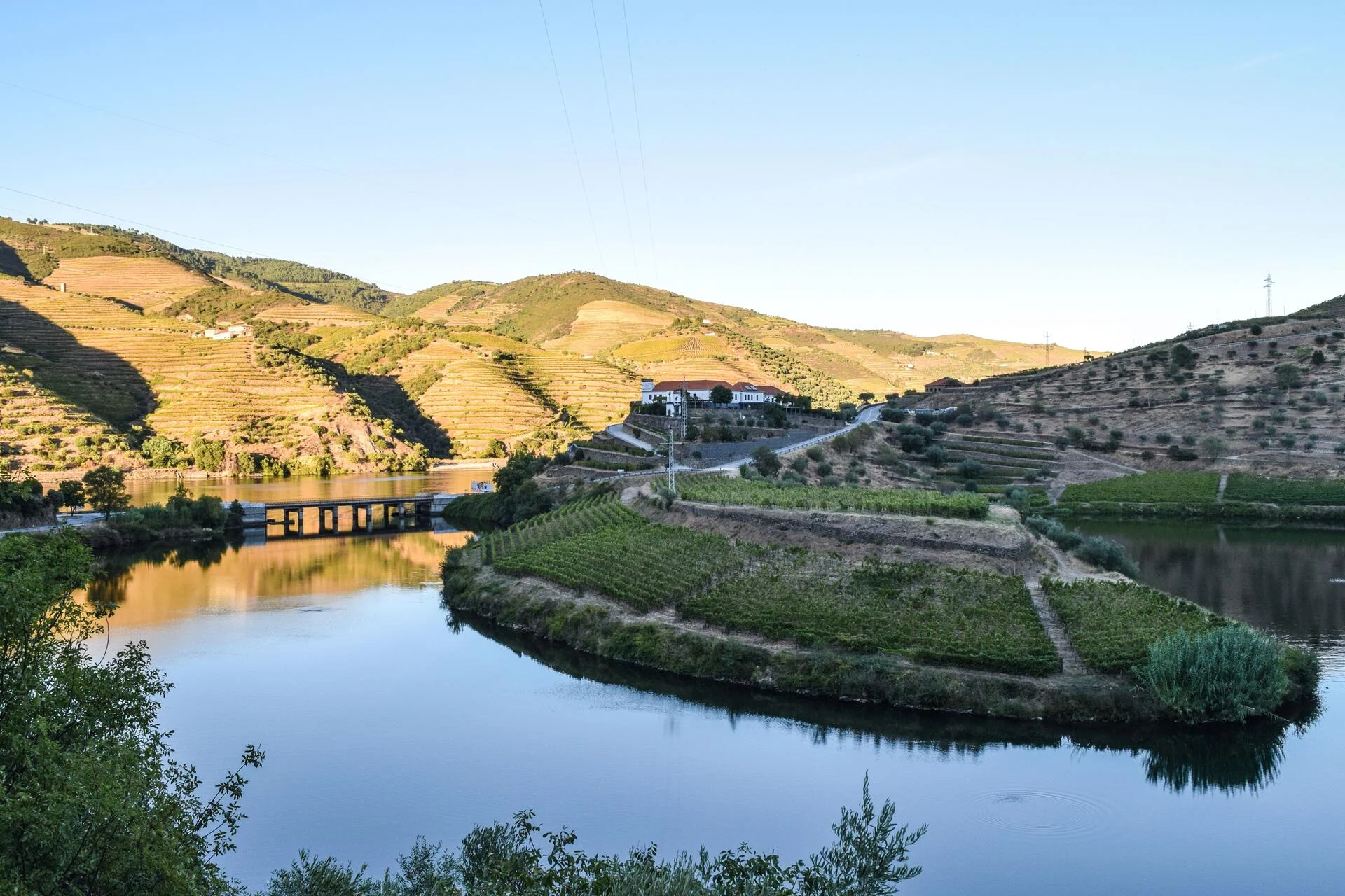 Quinta do Tedo – Visita & Piquenique Regional