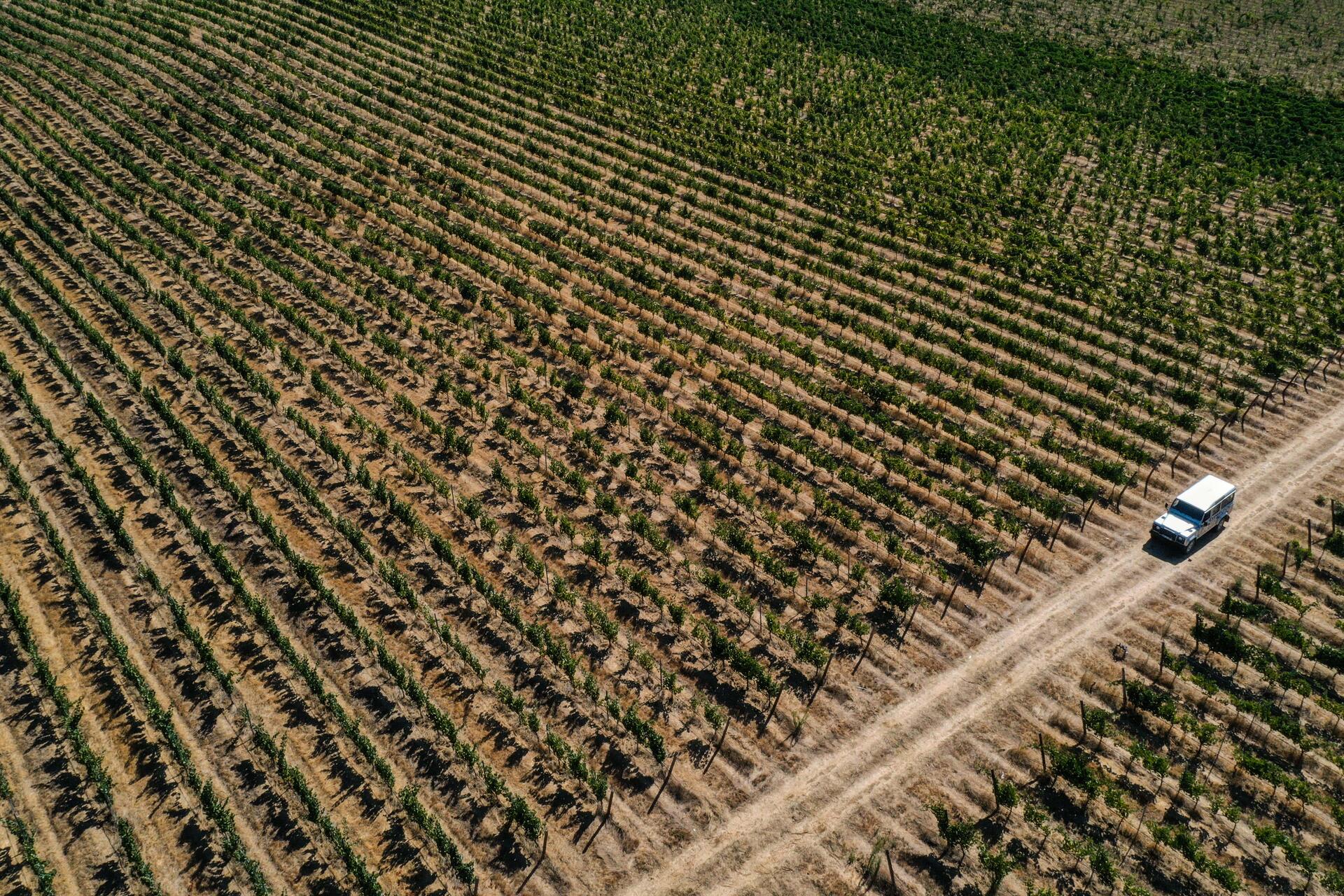 Tapada de Coelheiros – Visita & Prova Clássica