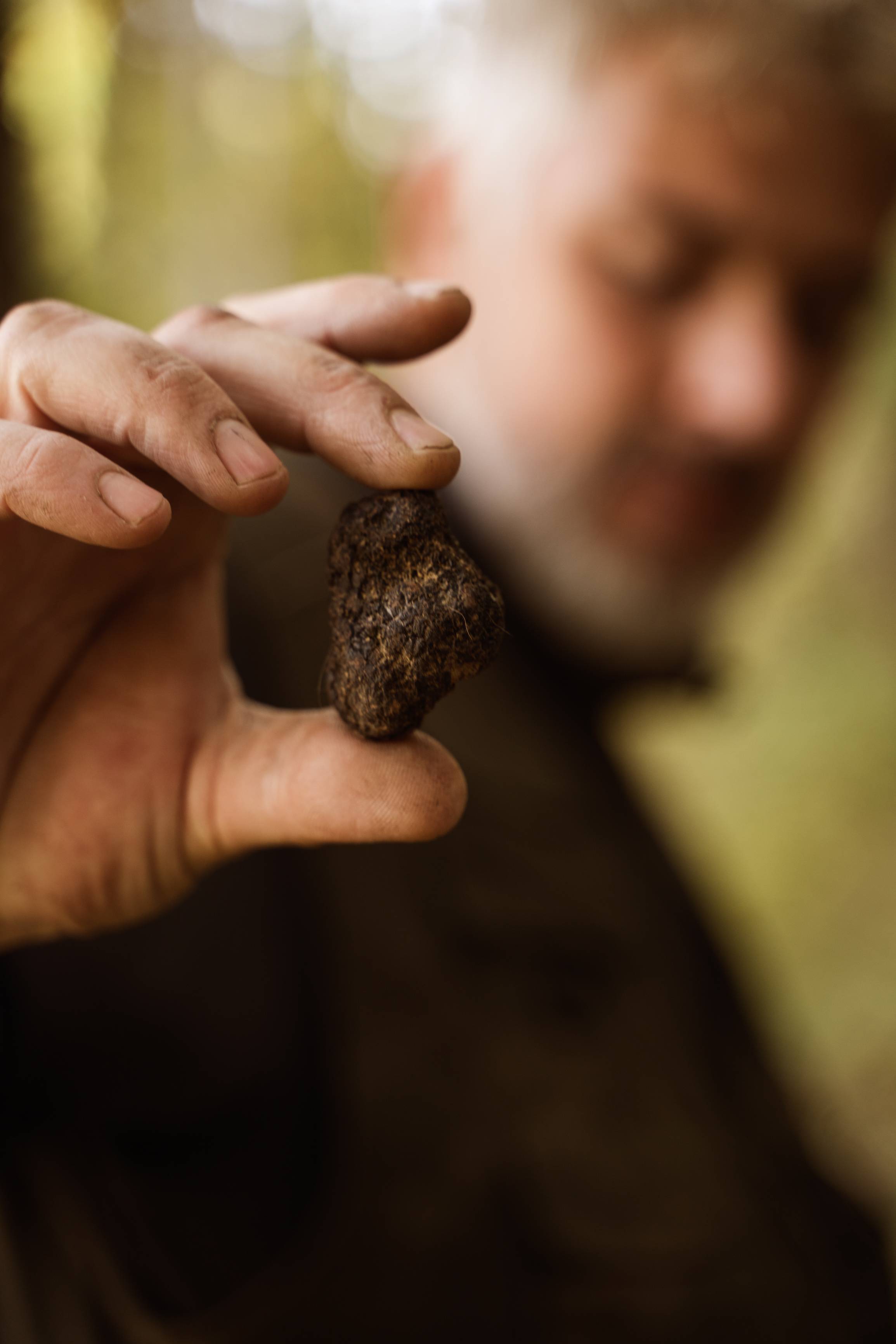 Truffle hunting with a tasting of 4 wines